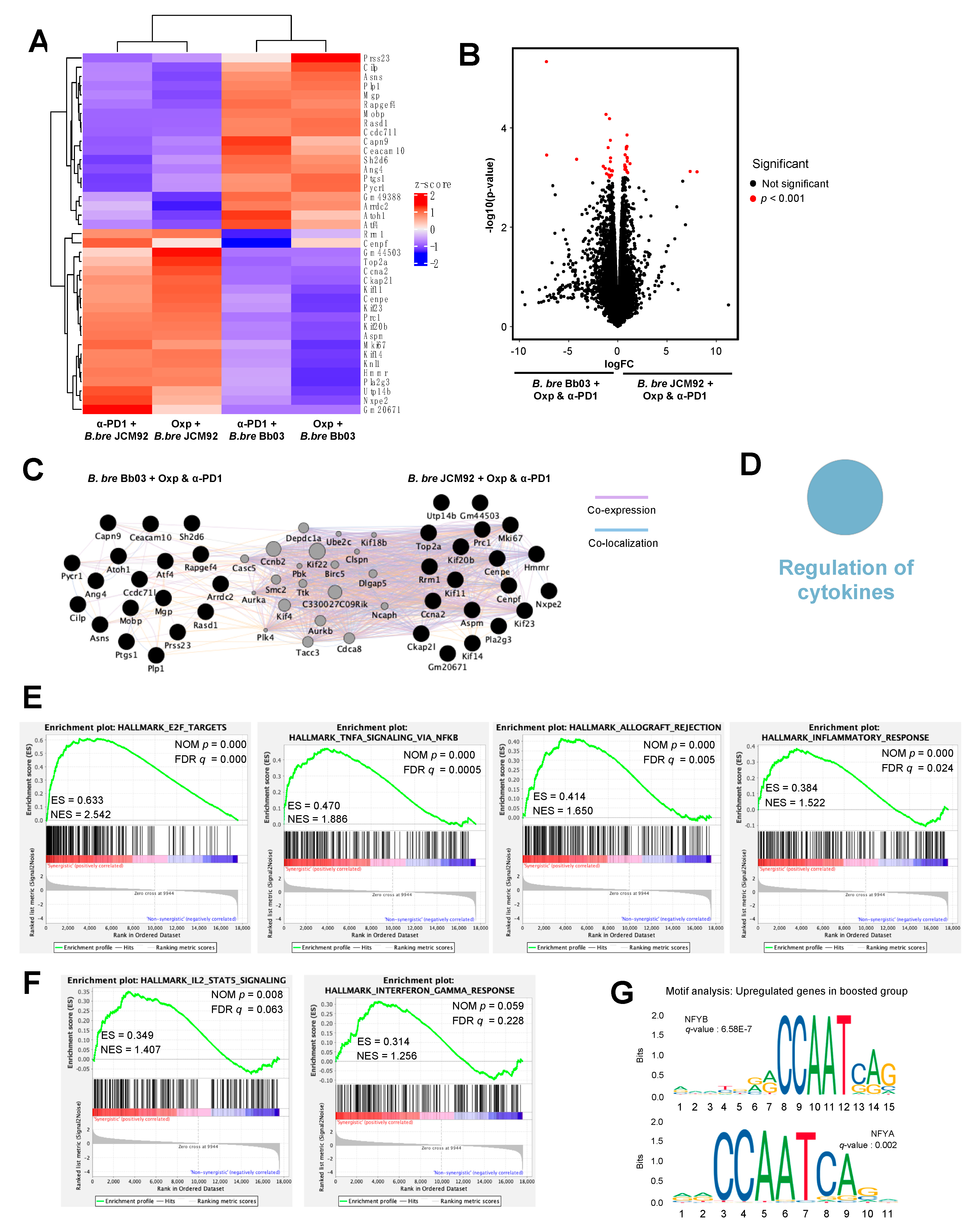 Cancers 13 00957 g006