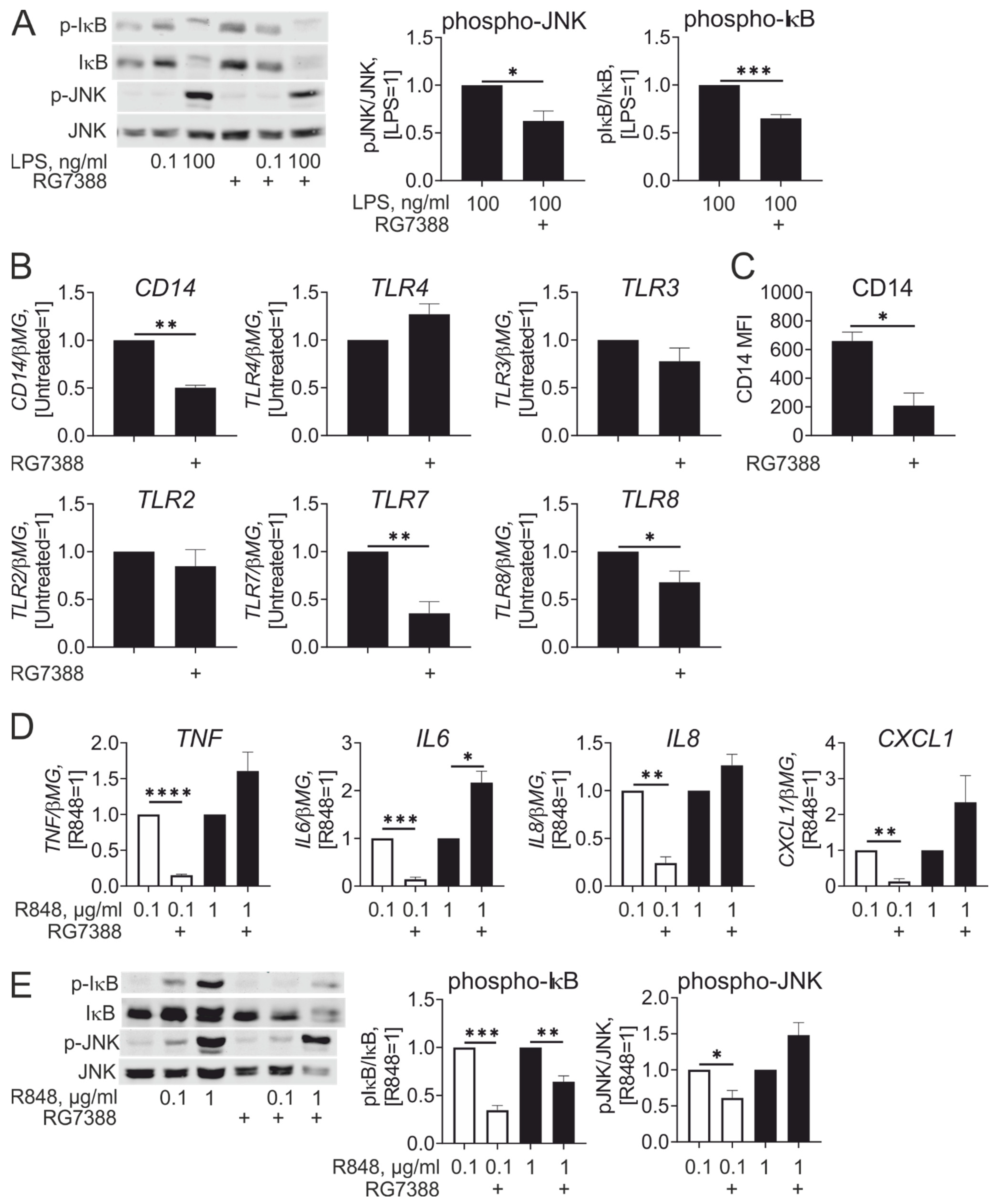 Cancers 13 00958 g005