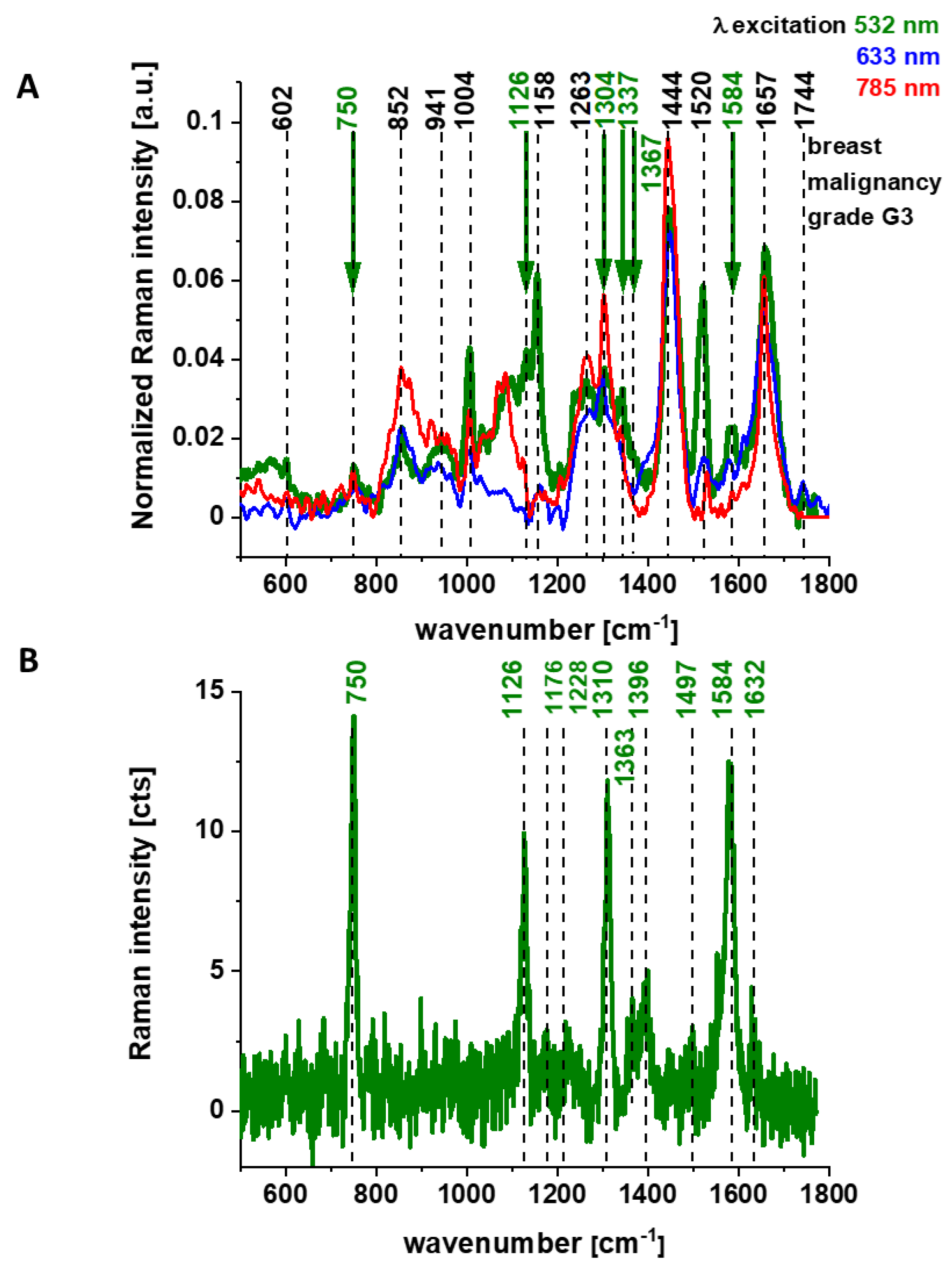 Cancers 13 00960 g002