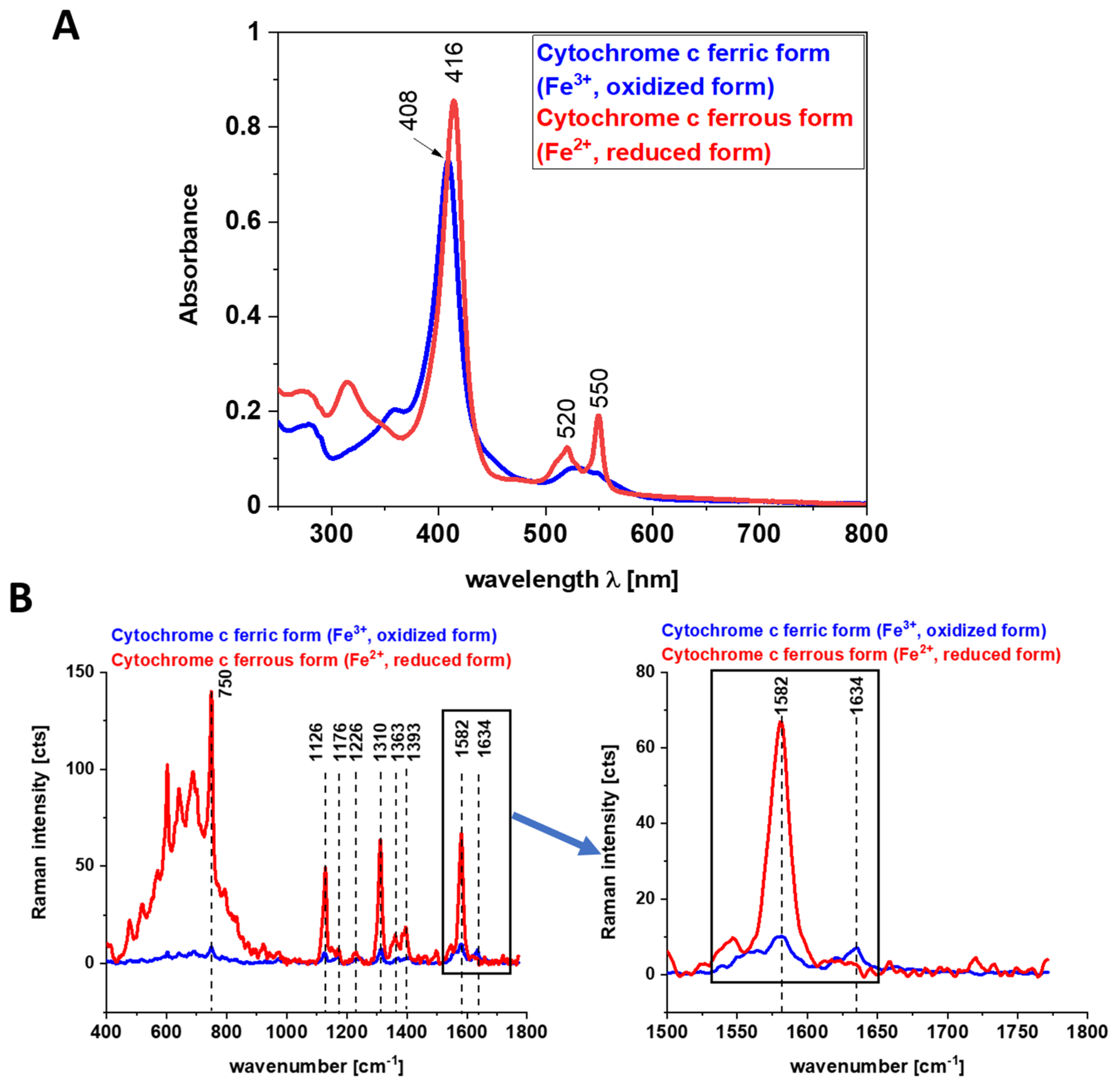 Cancers 13 00960 g005