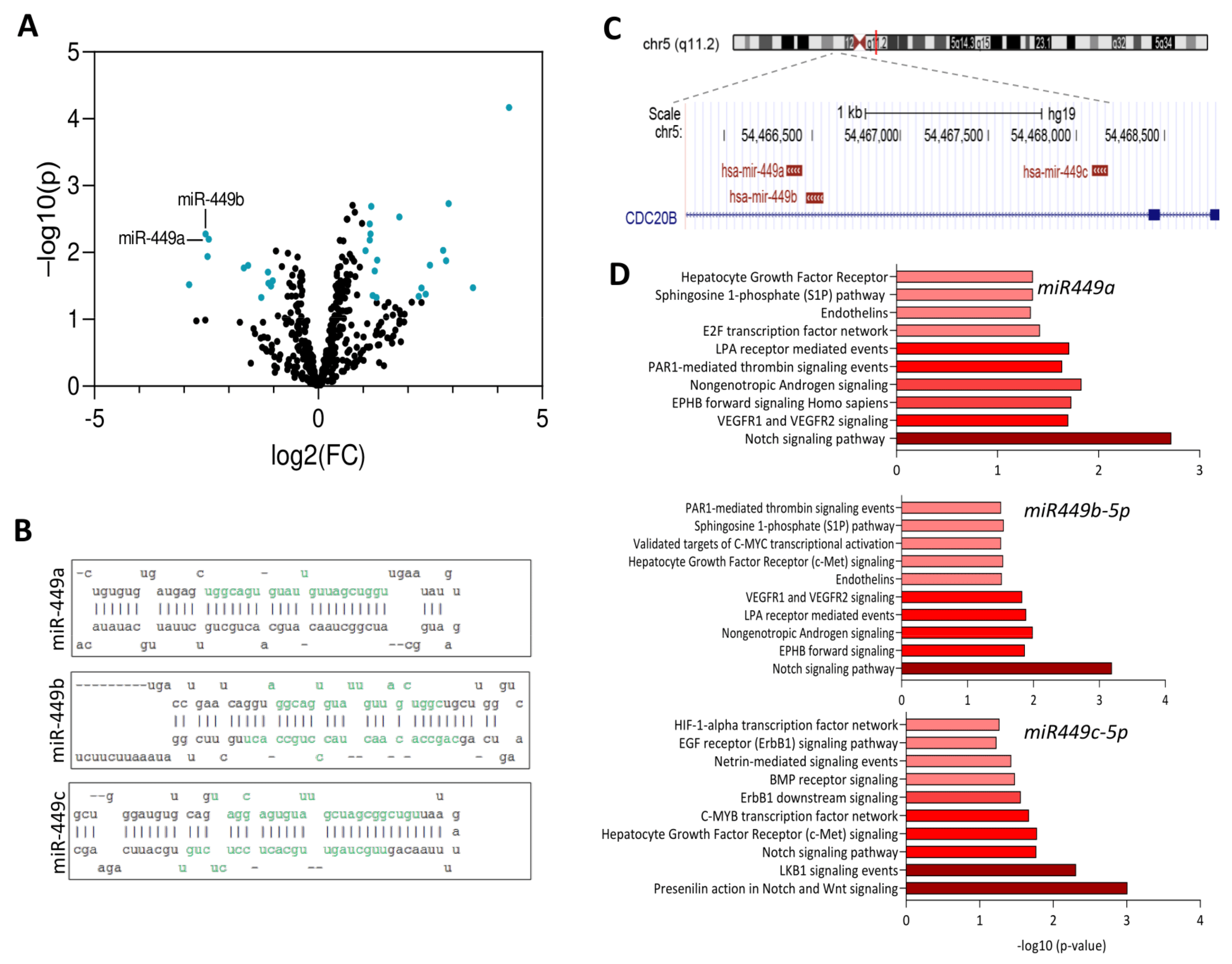 Cancers 13 00964 g001