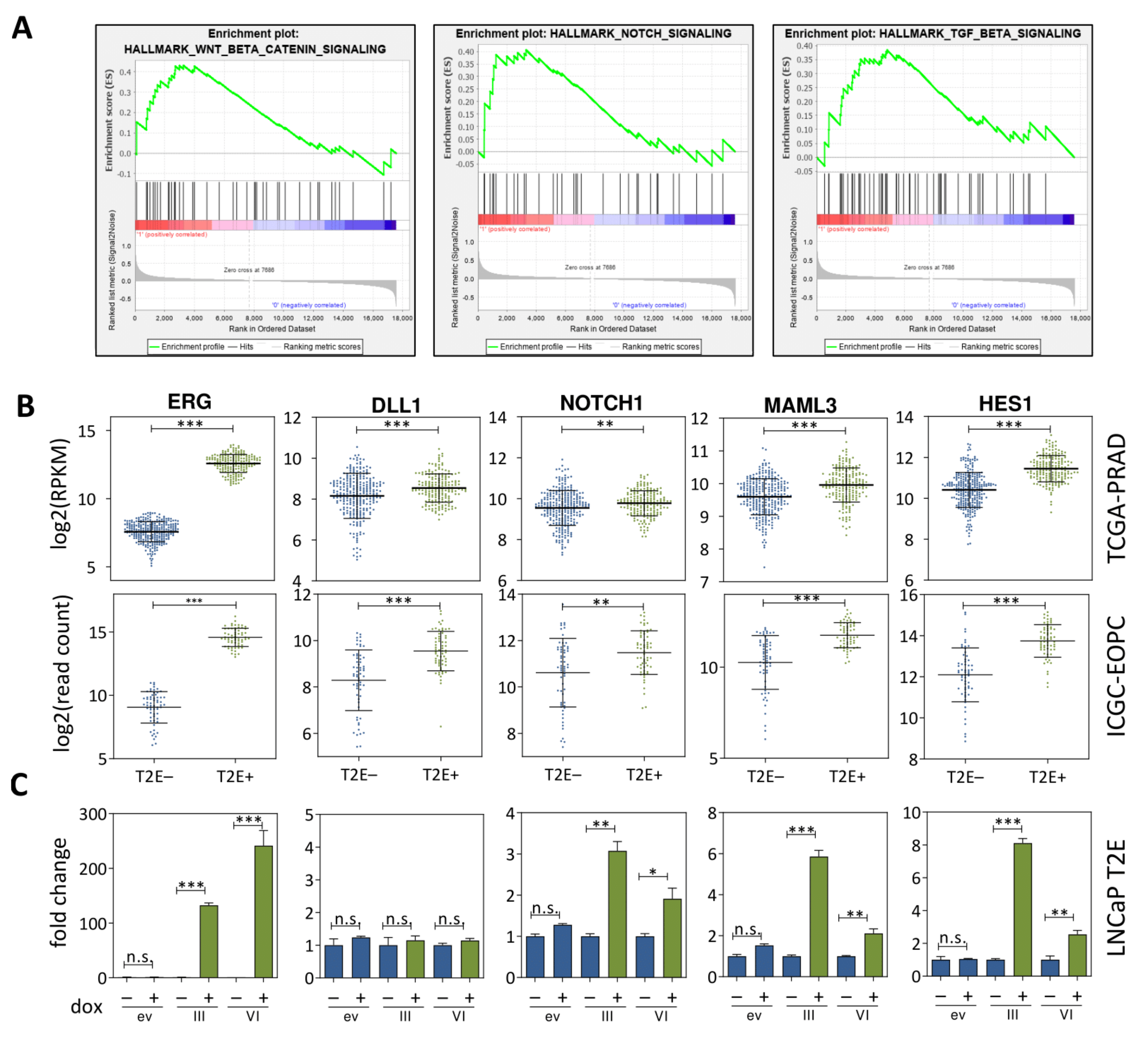 Cancers 13 00964 g002