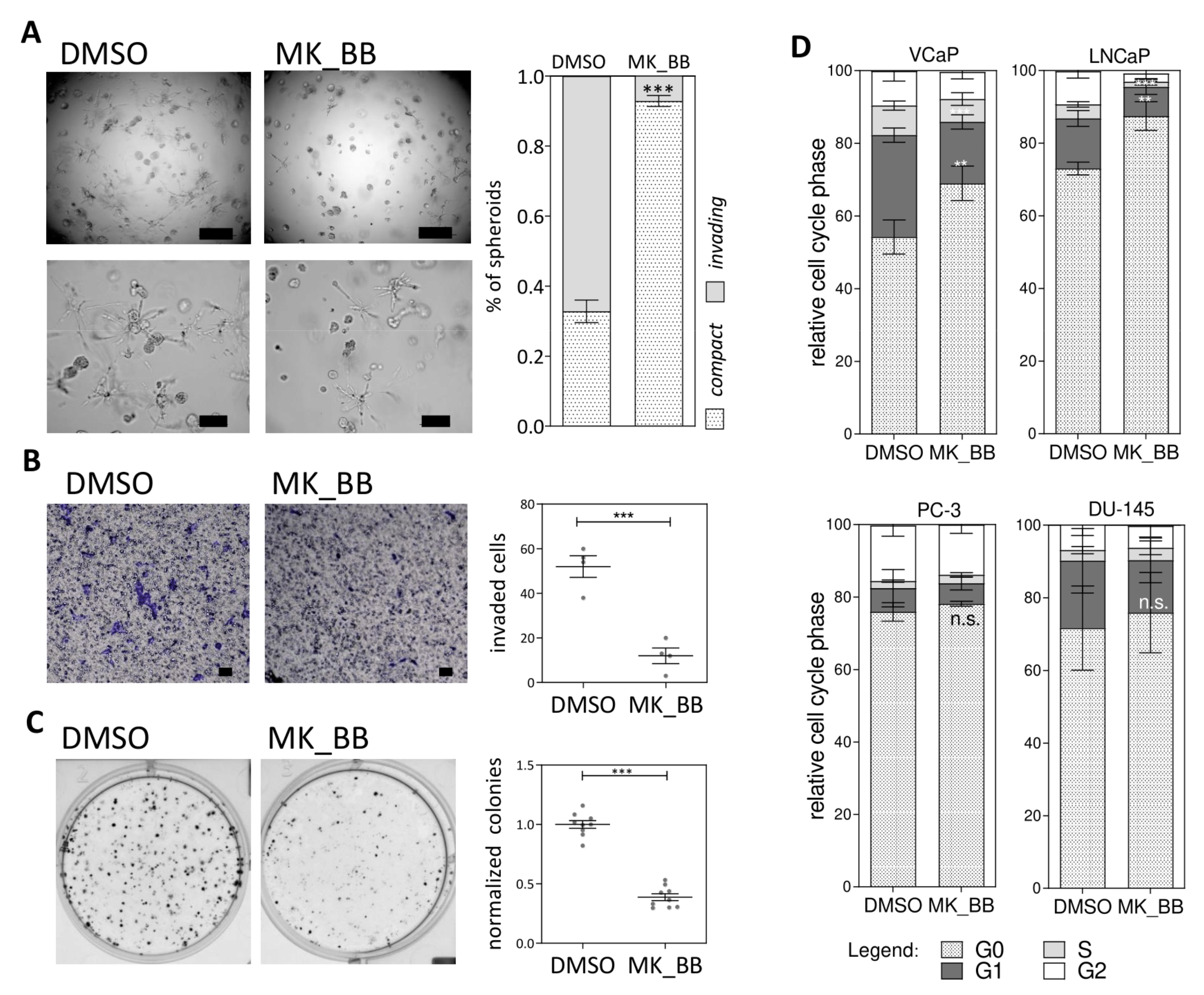 Cancers 13 00964 g004