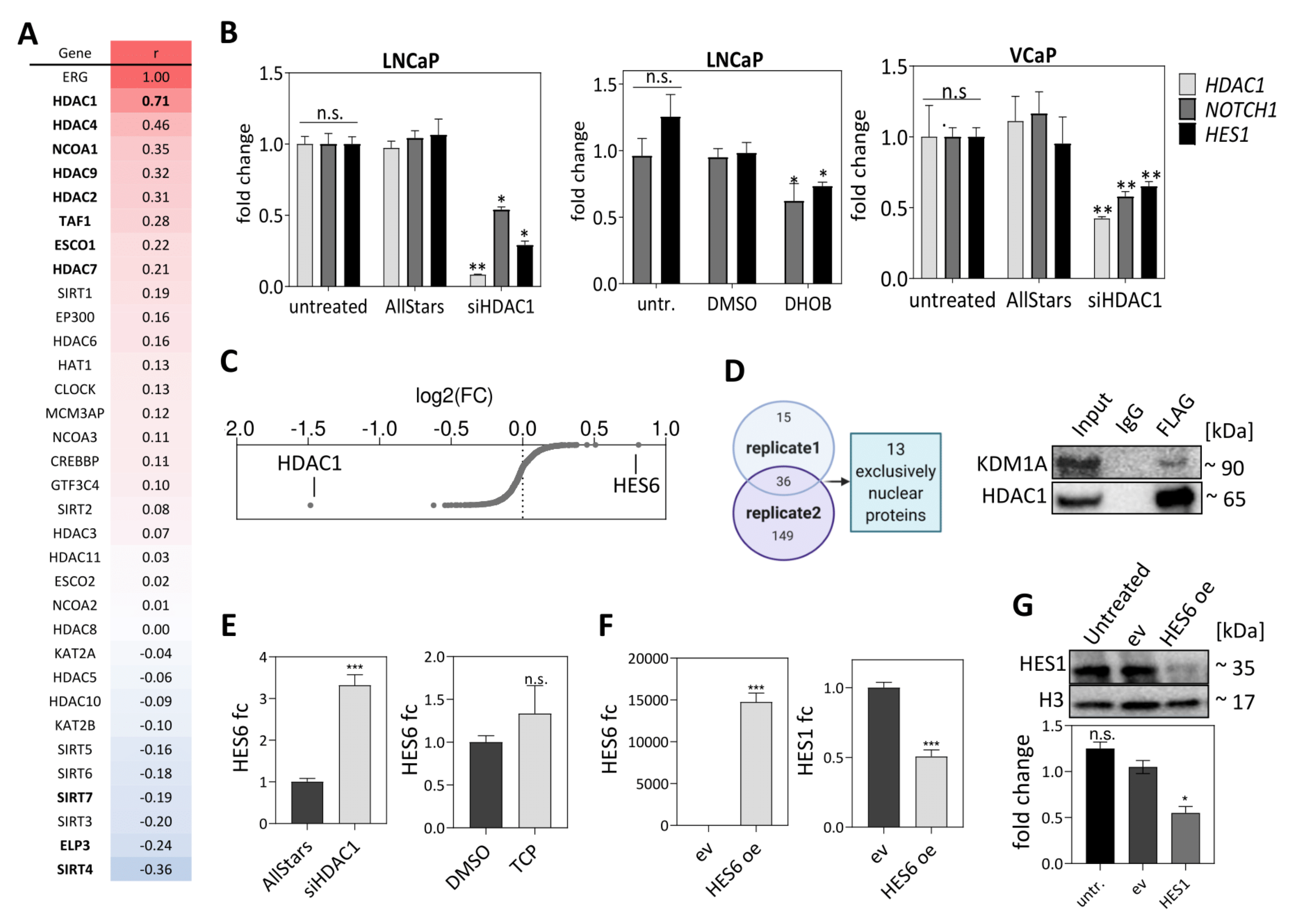 Cancers 13 00964 g005