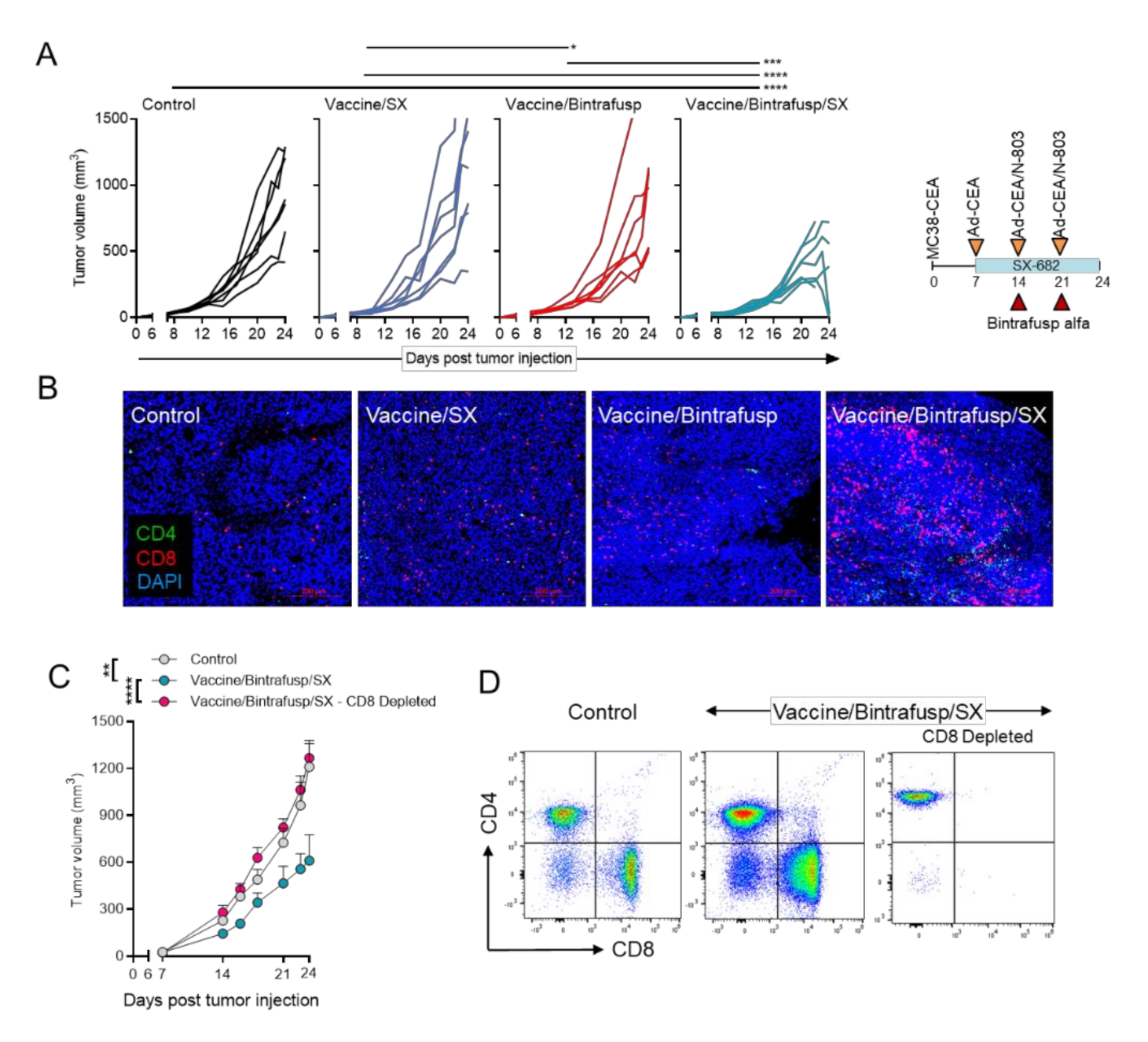 Cancers 13 00968 g002