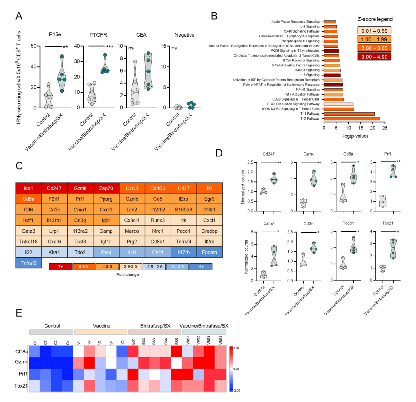 Cancers 13 00968 g003