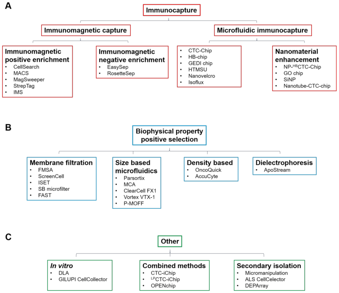 Cancers 13 00970 g001