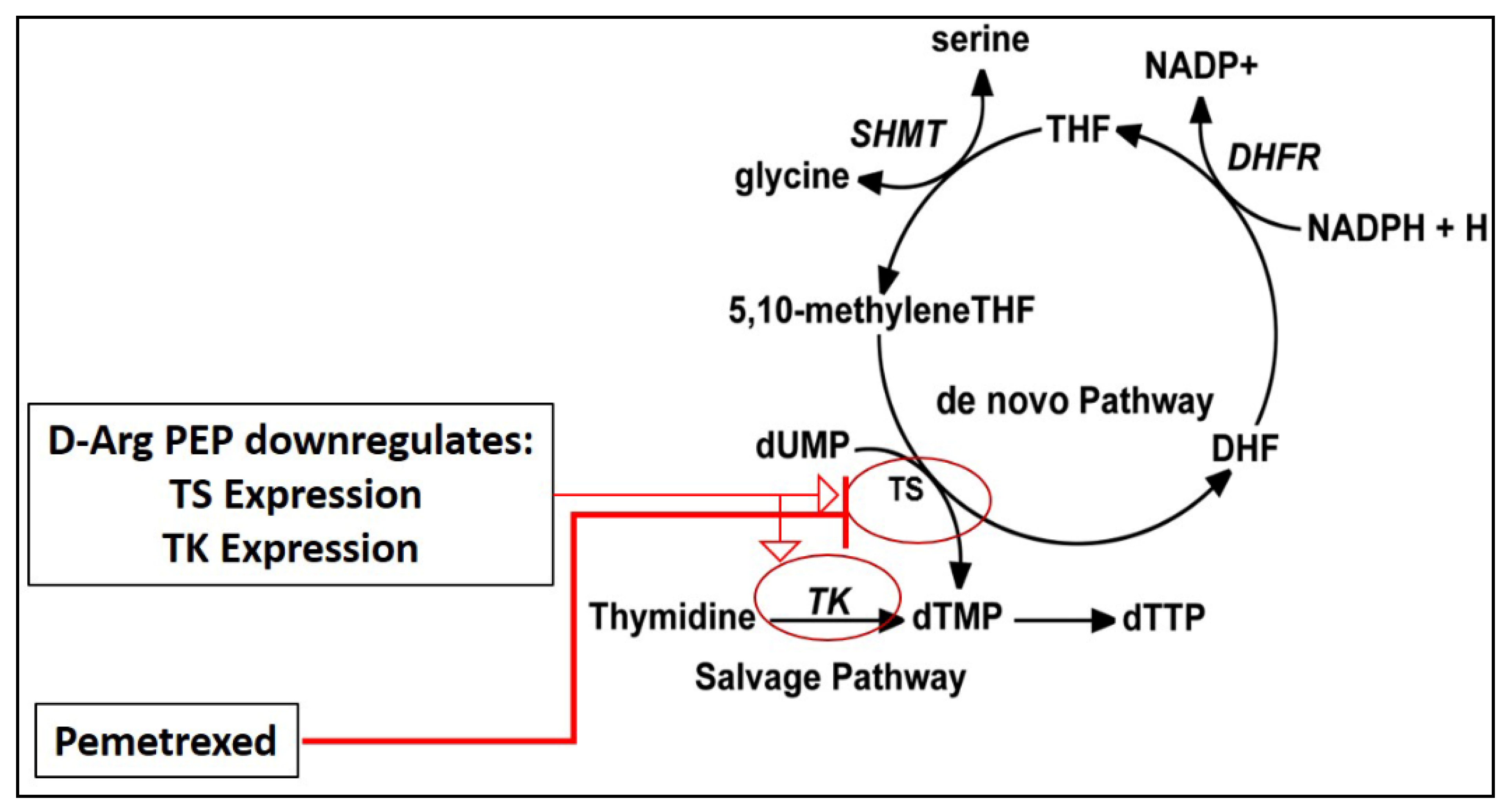 Cancers 13 00972 g001