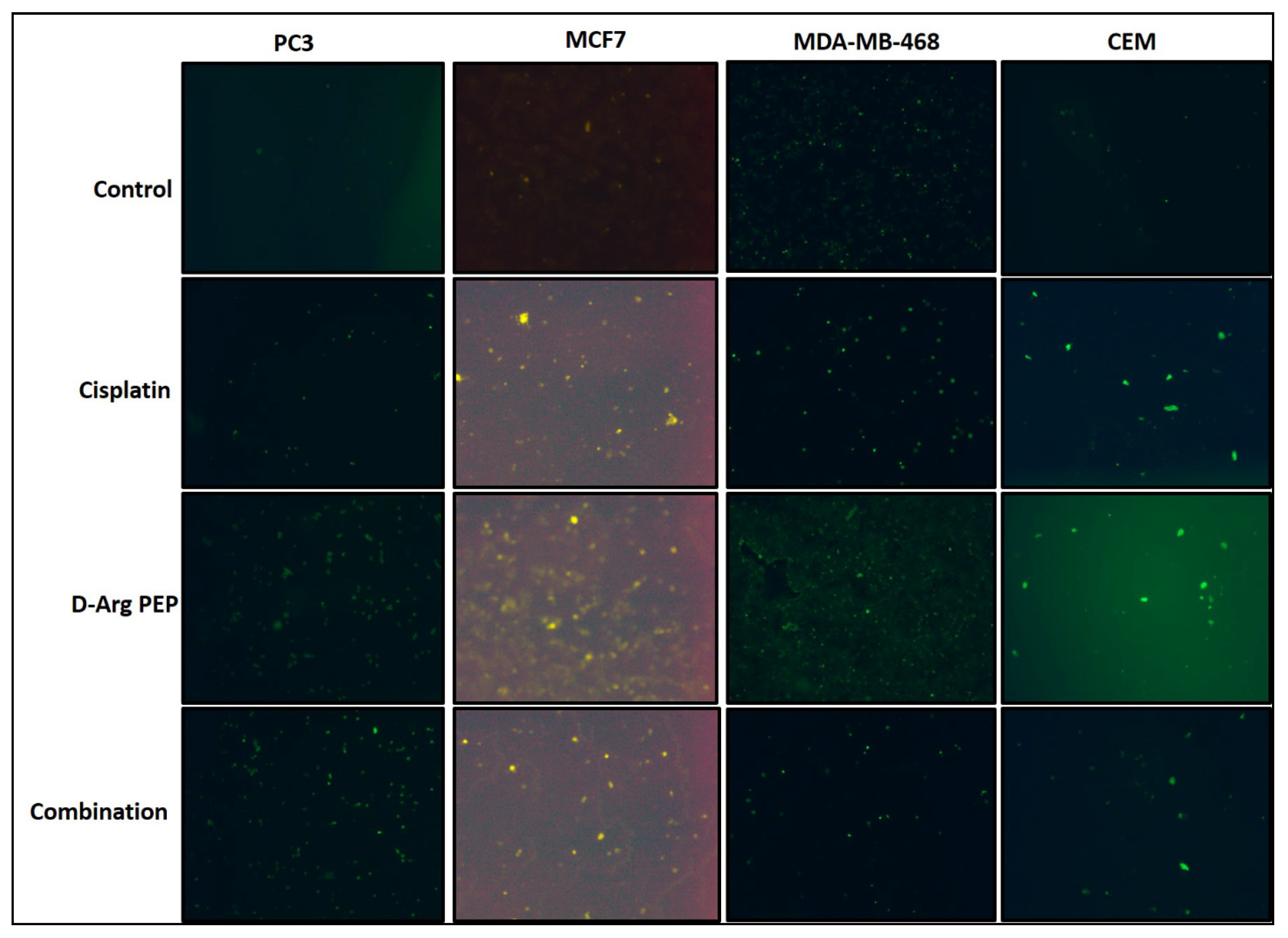 Cancers 13 00972 g004