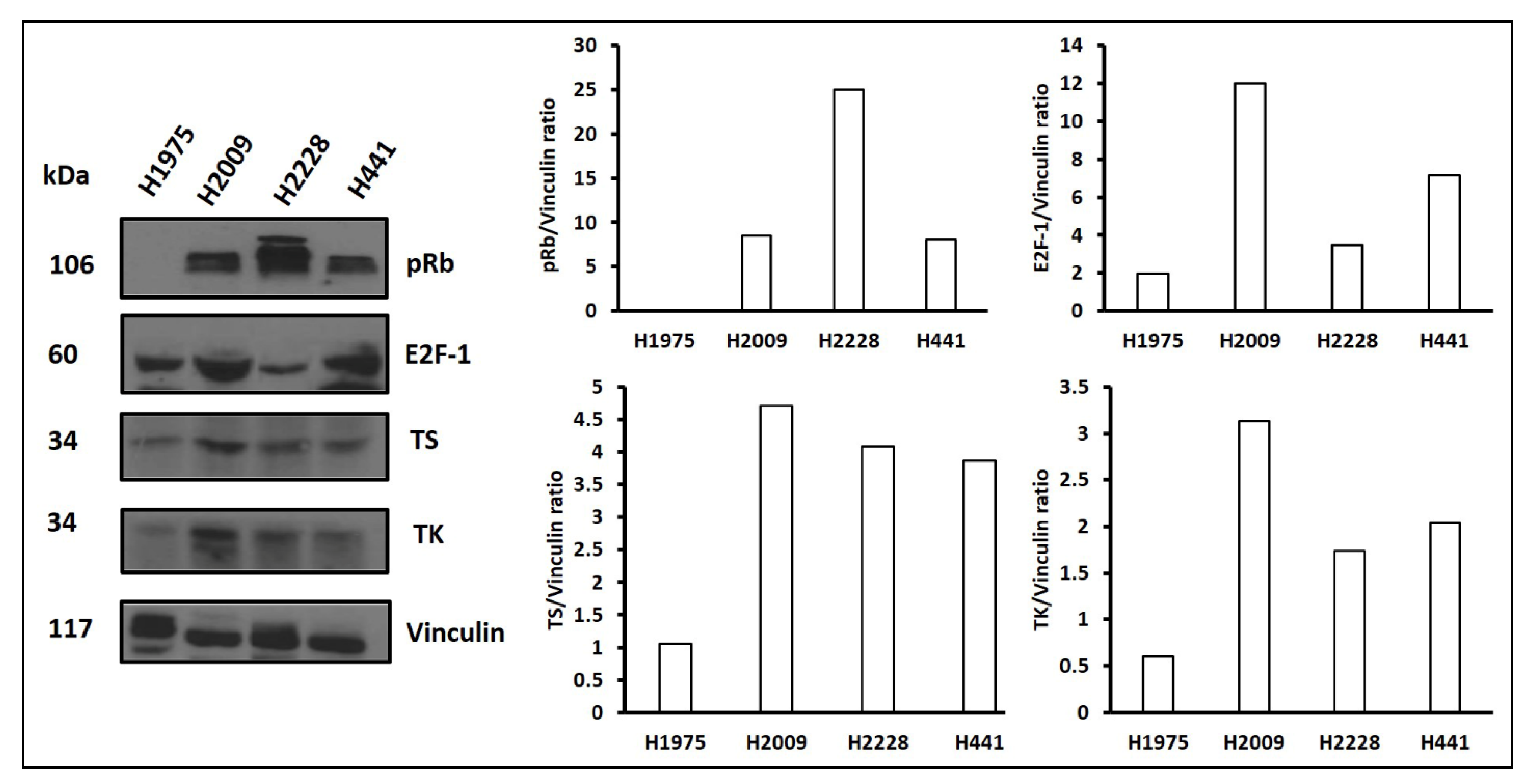 Cancers 13 00972 g006
