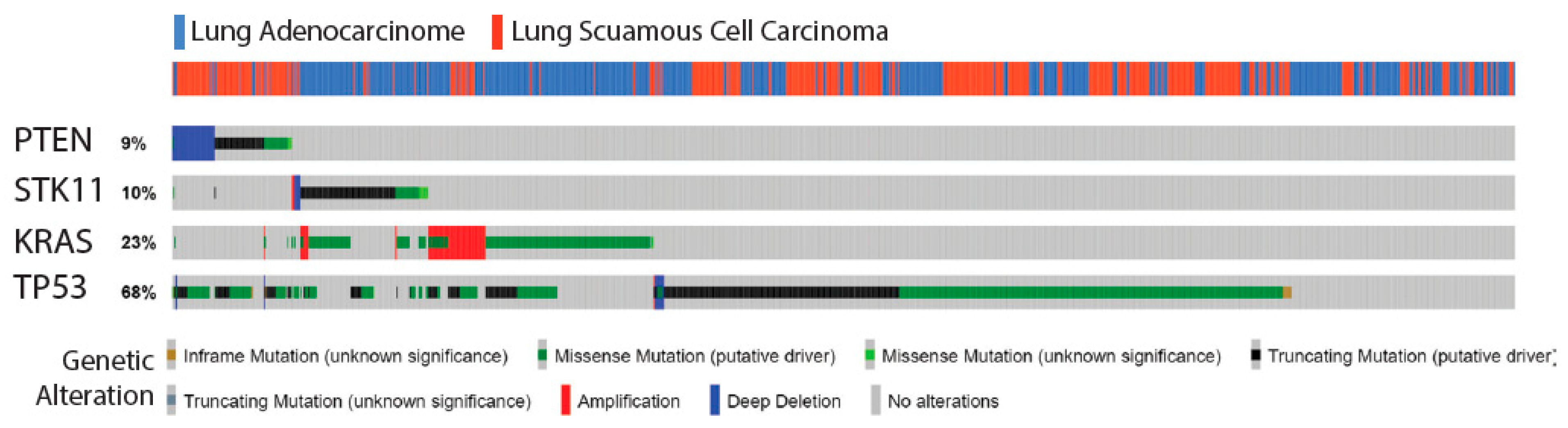 Cancers 13 00974 g001