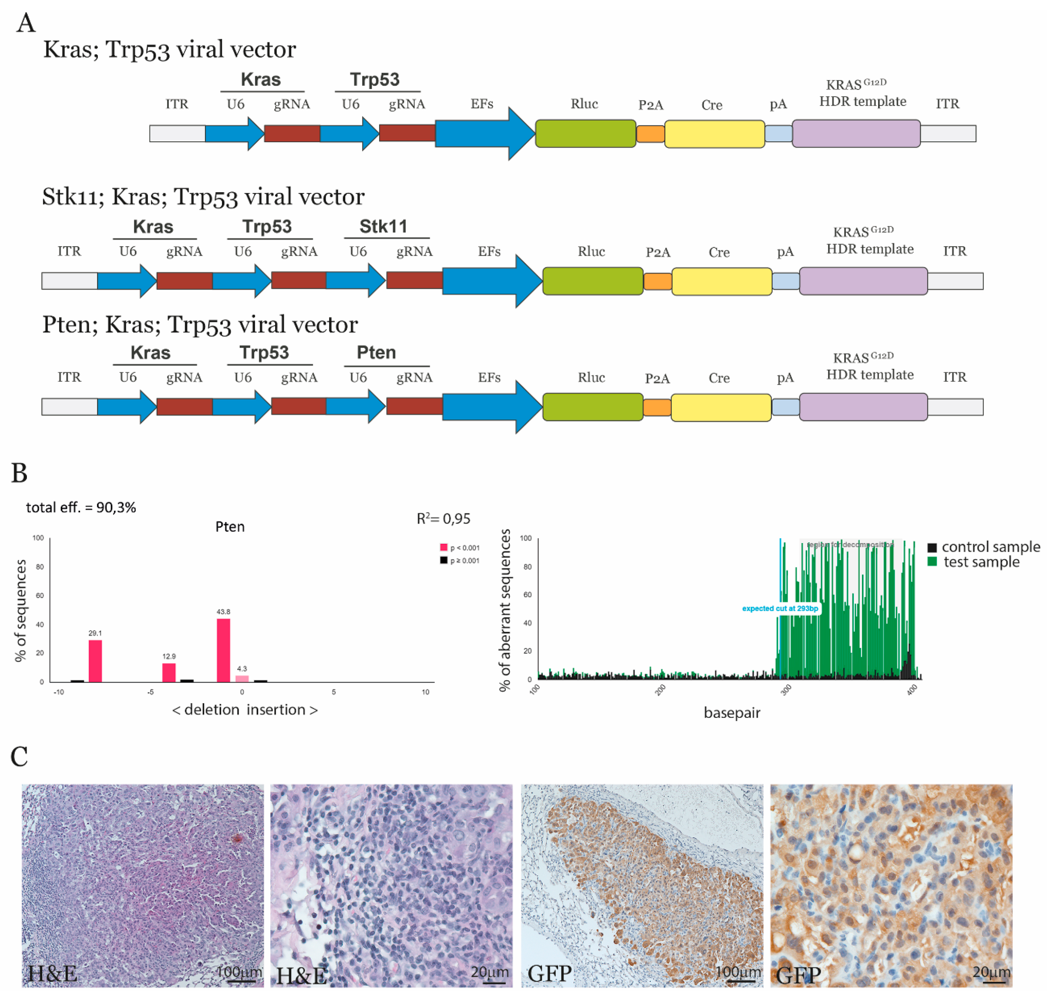 Cancers 13 00974 g002