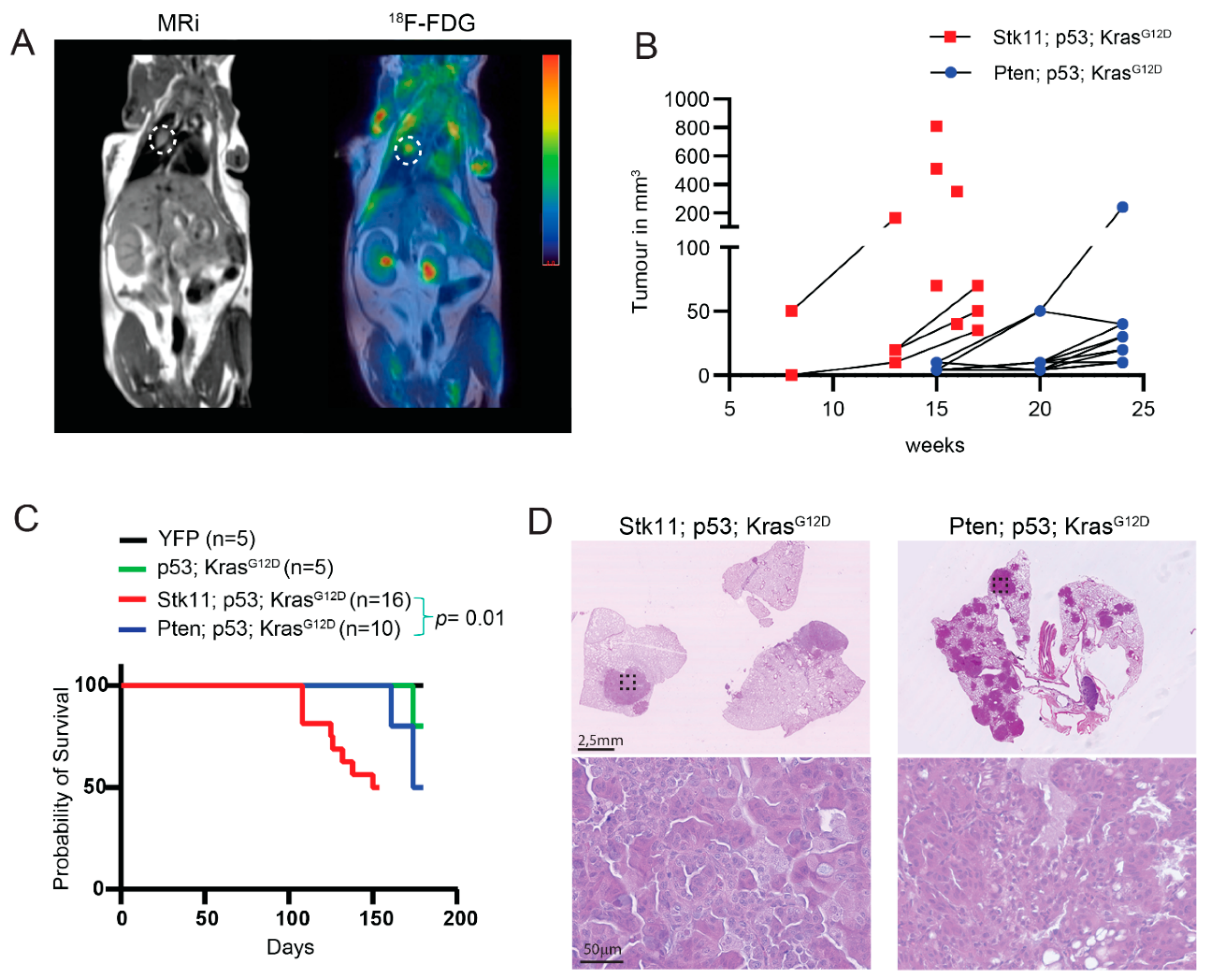 Cancers 13 00974 g003