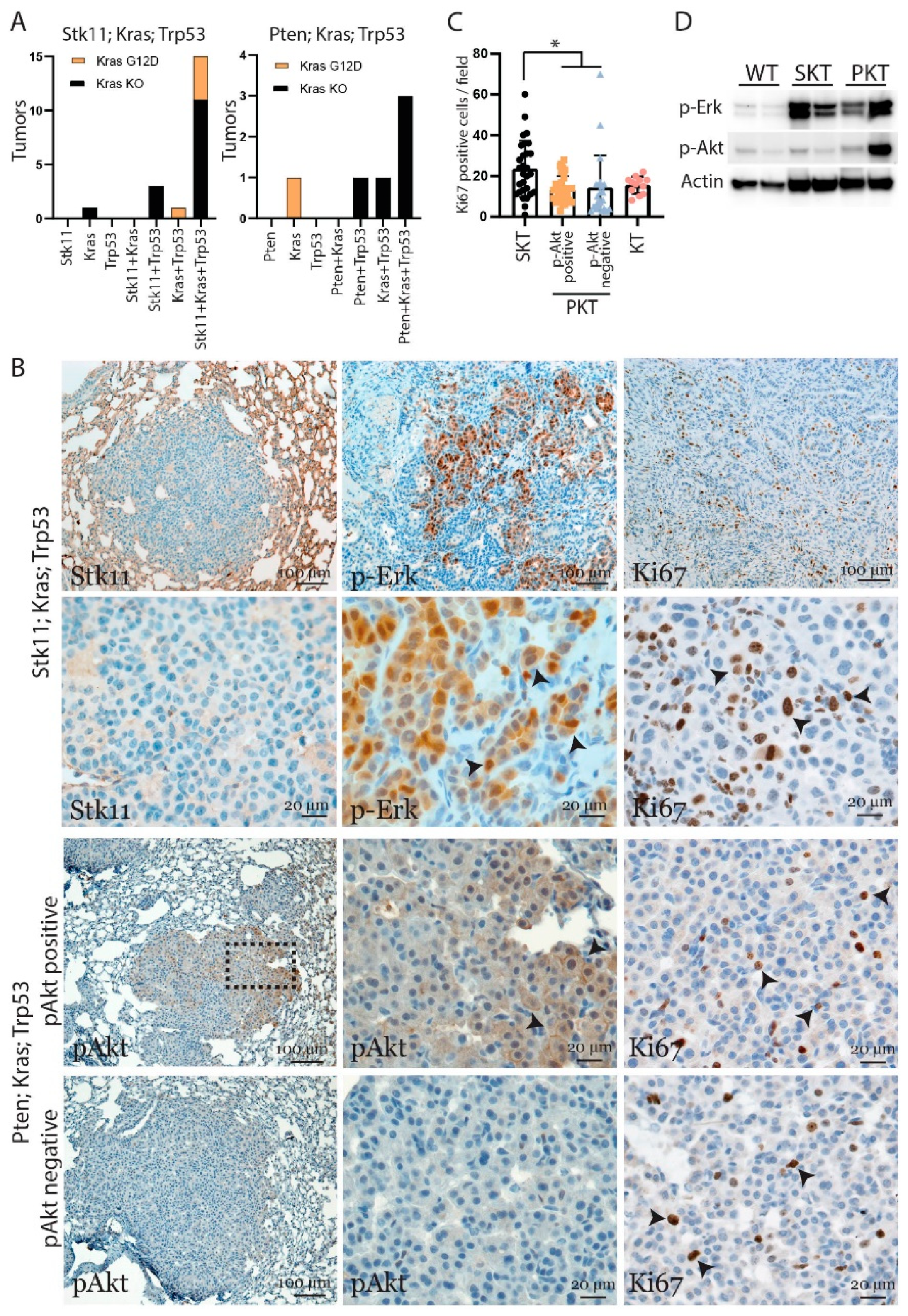 Cancers 13 00974 g004