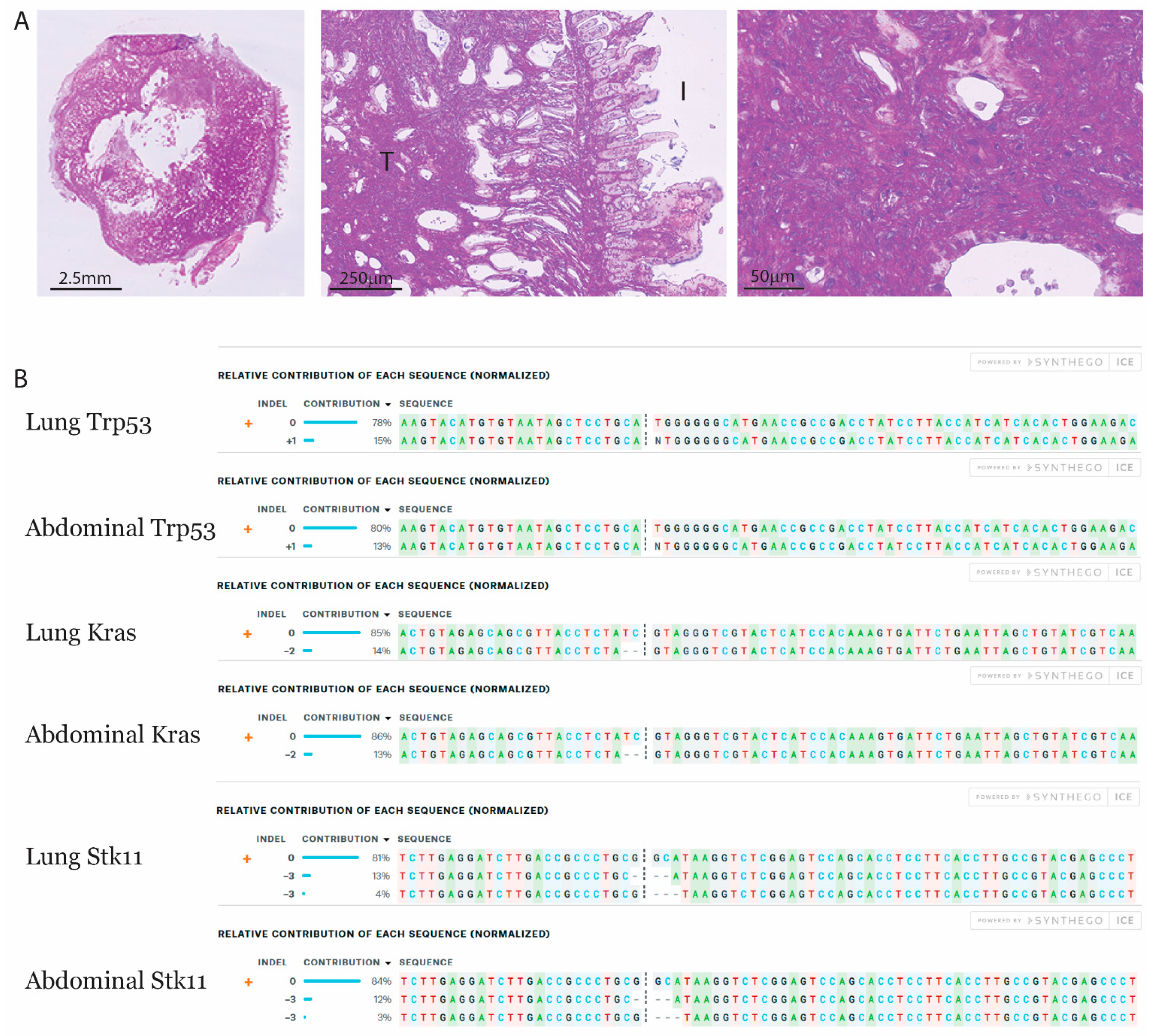 Cancers 13 00974 g005