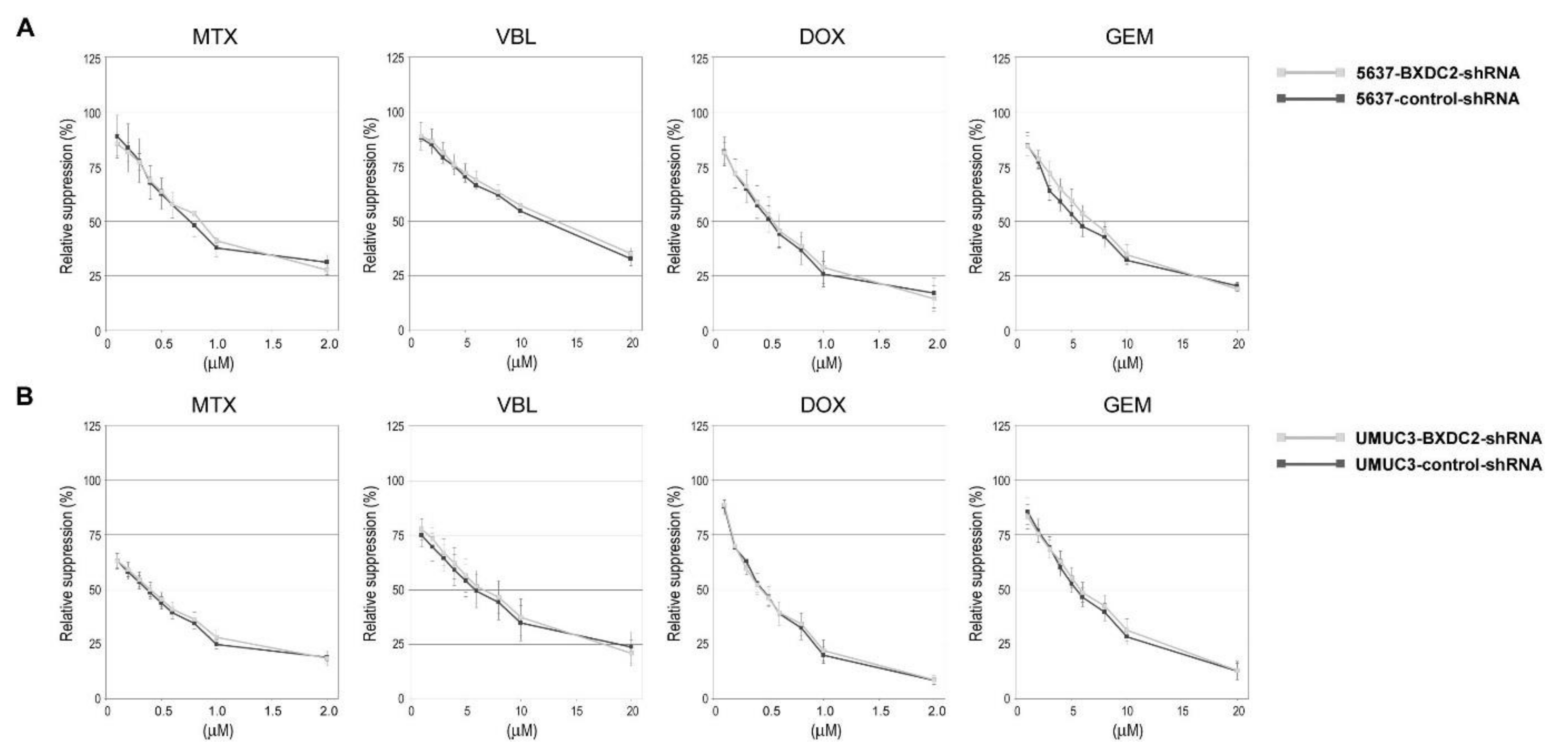 Cancers 13 00975 g003