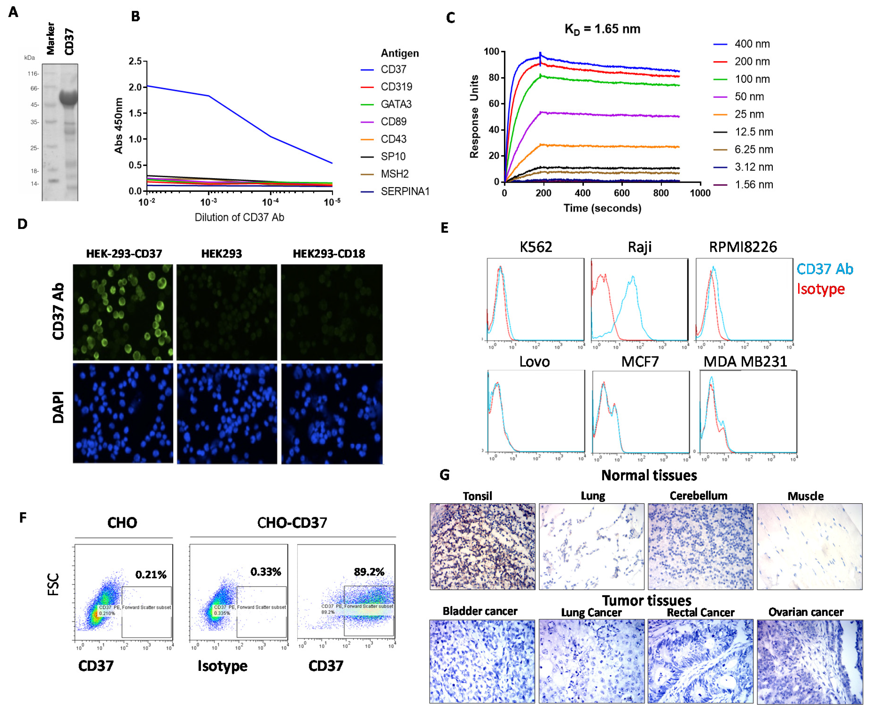 Cancers 13 00981 g001