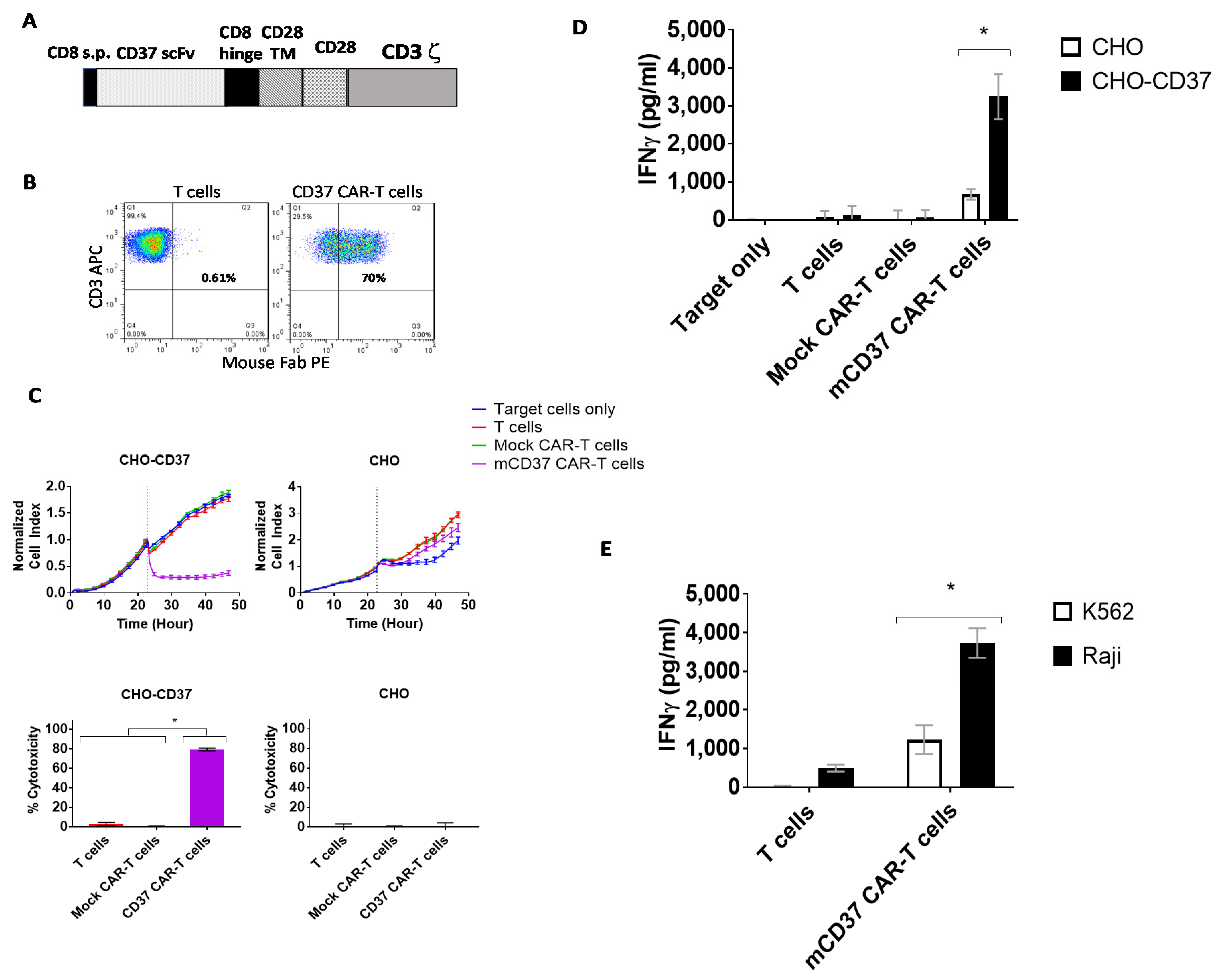 Cancers 13 00981 g002