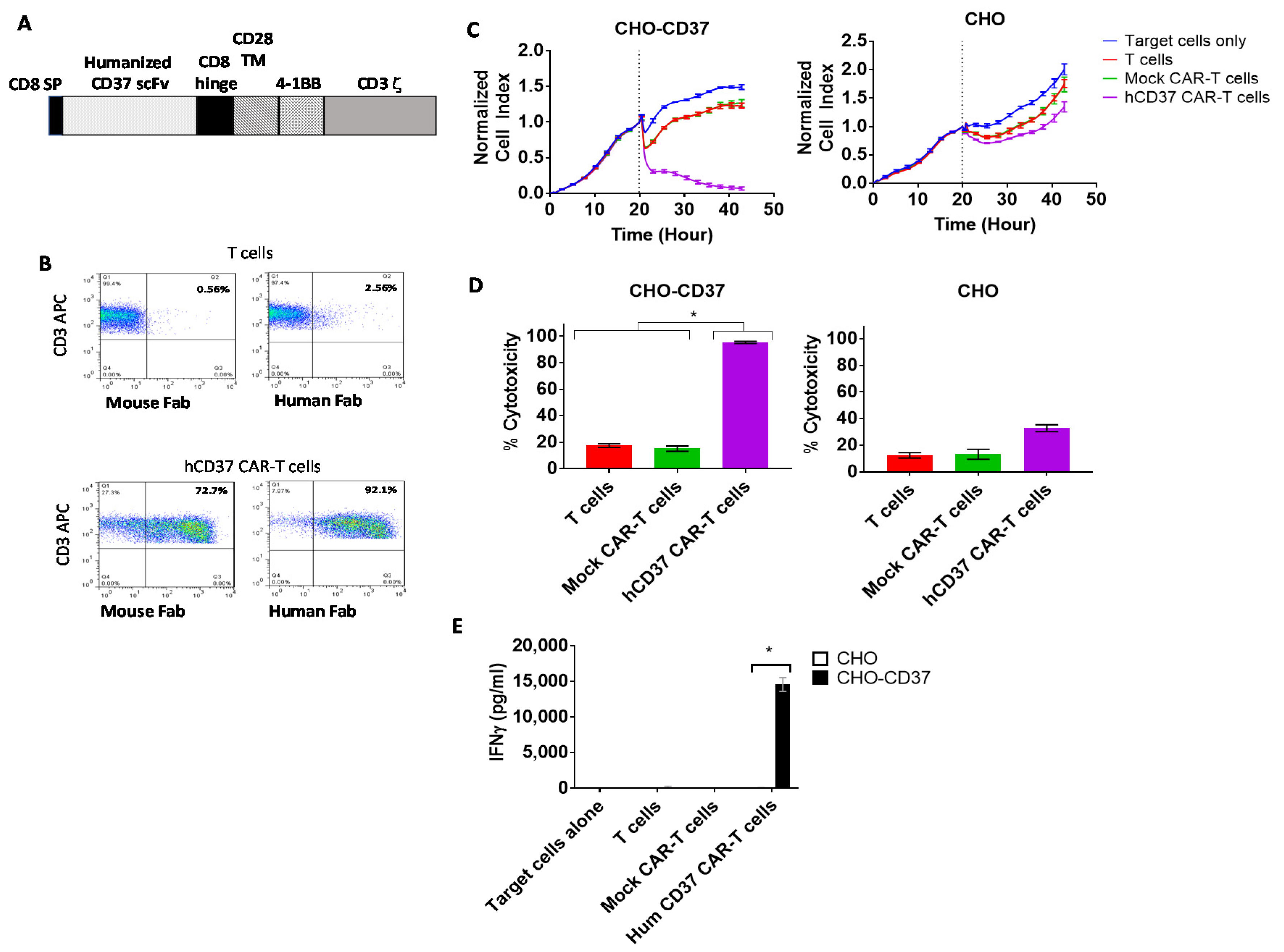 Cancers 13 00981 g003