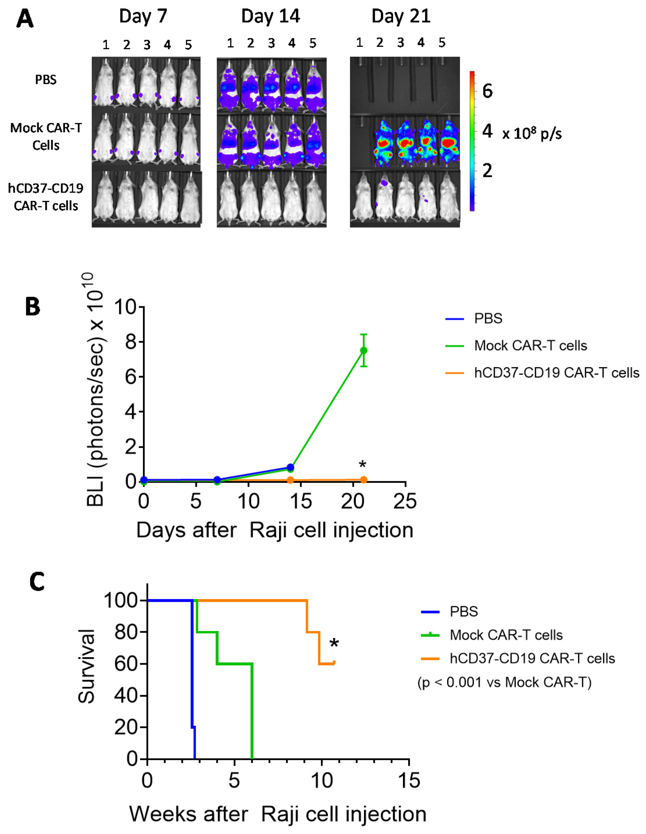 Cancers 13 00981 g005