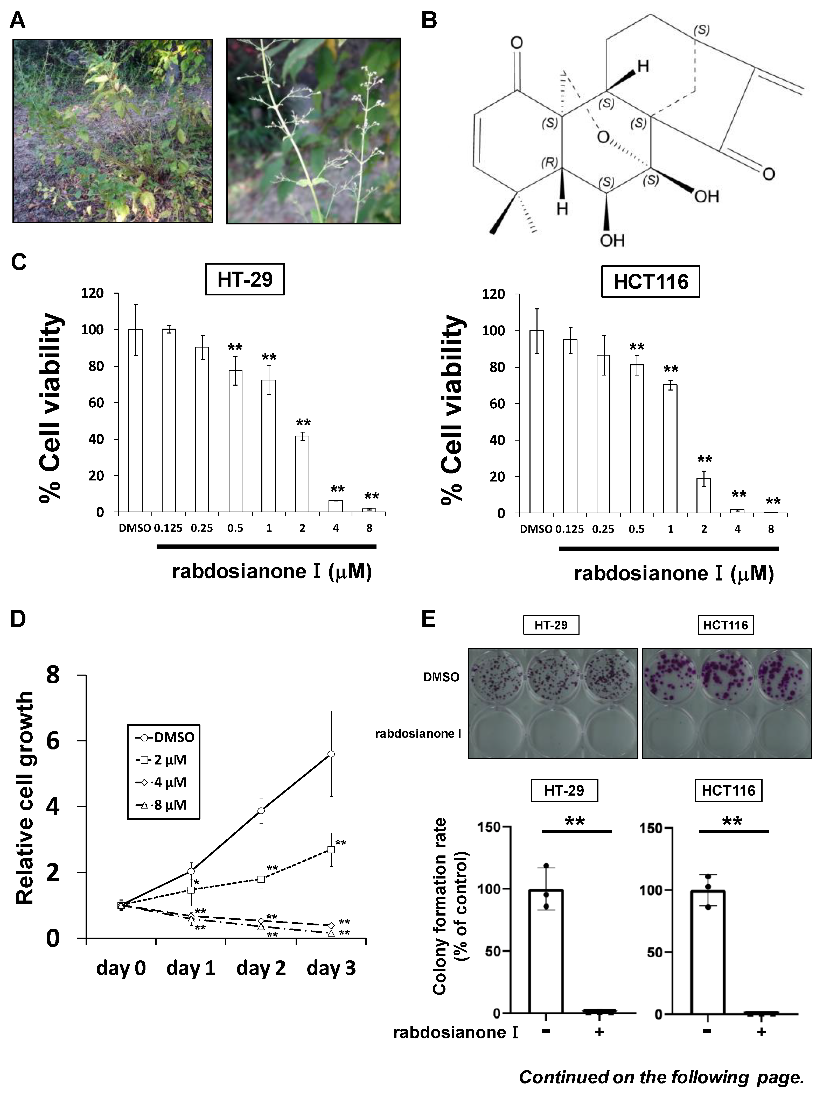 Cancers 13 00982 g001a Cancers 13 00982 g001a