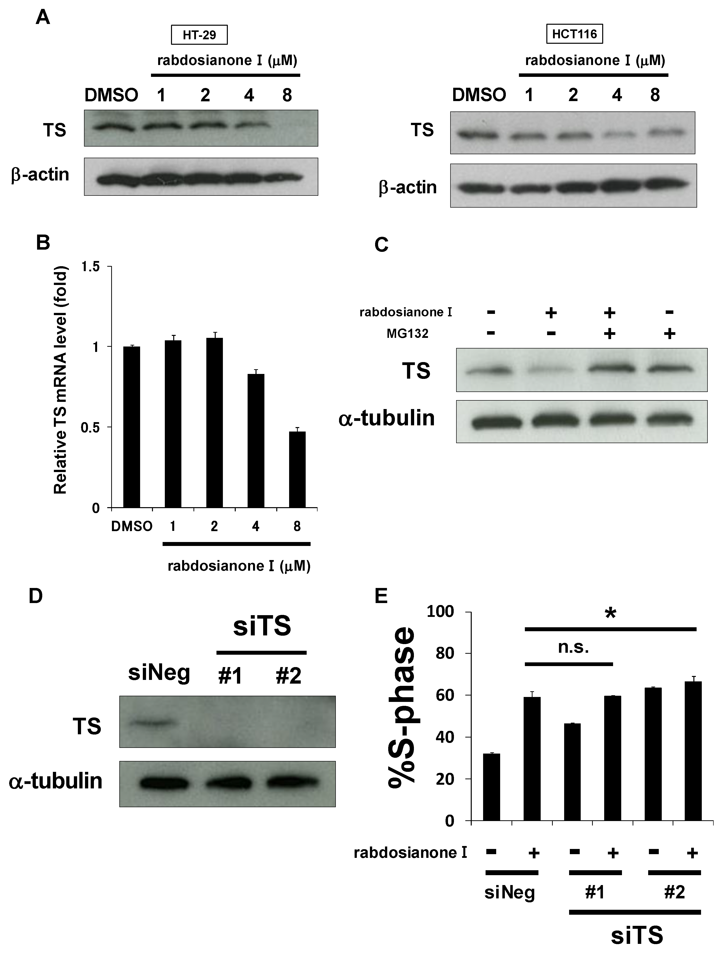 Cancers 13 00982 g002 Cancers 13 00982 g002