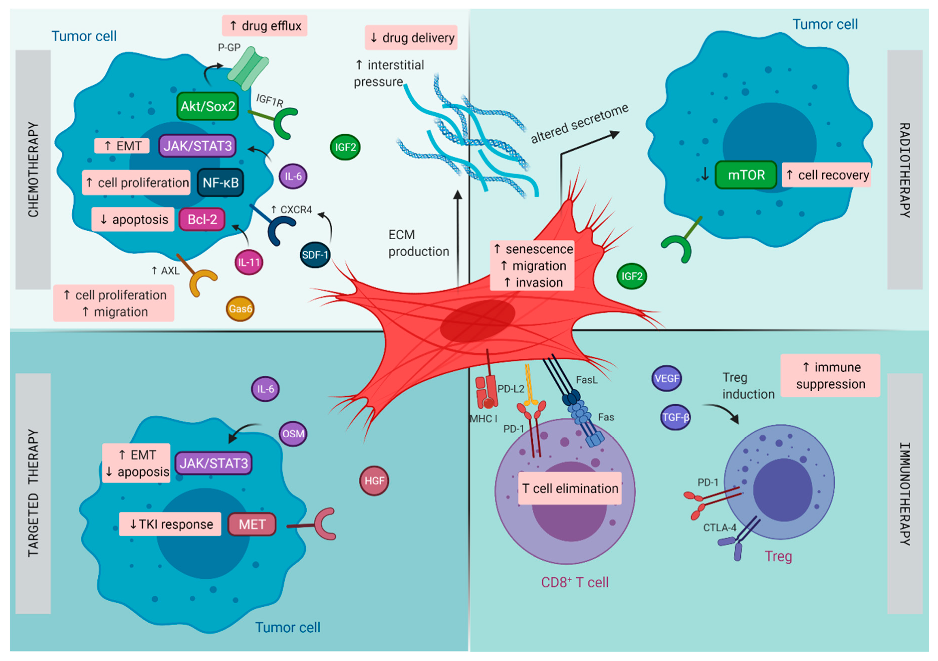 Cancers 13 00987 g001