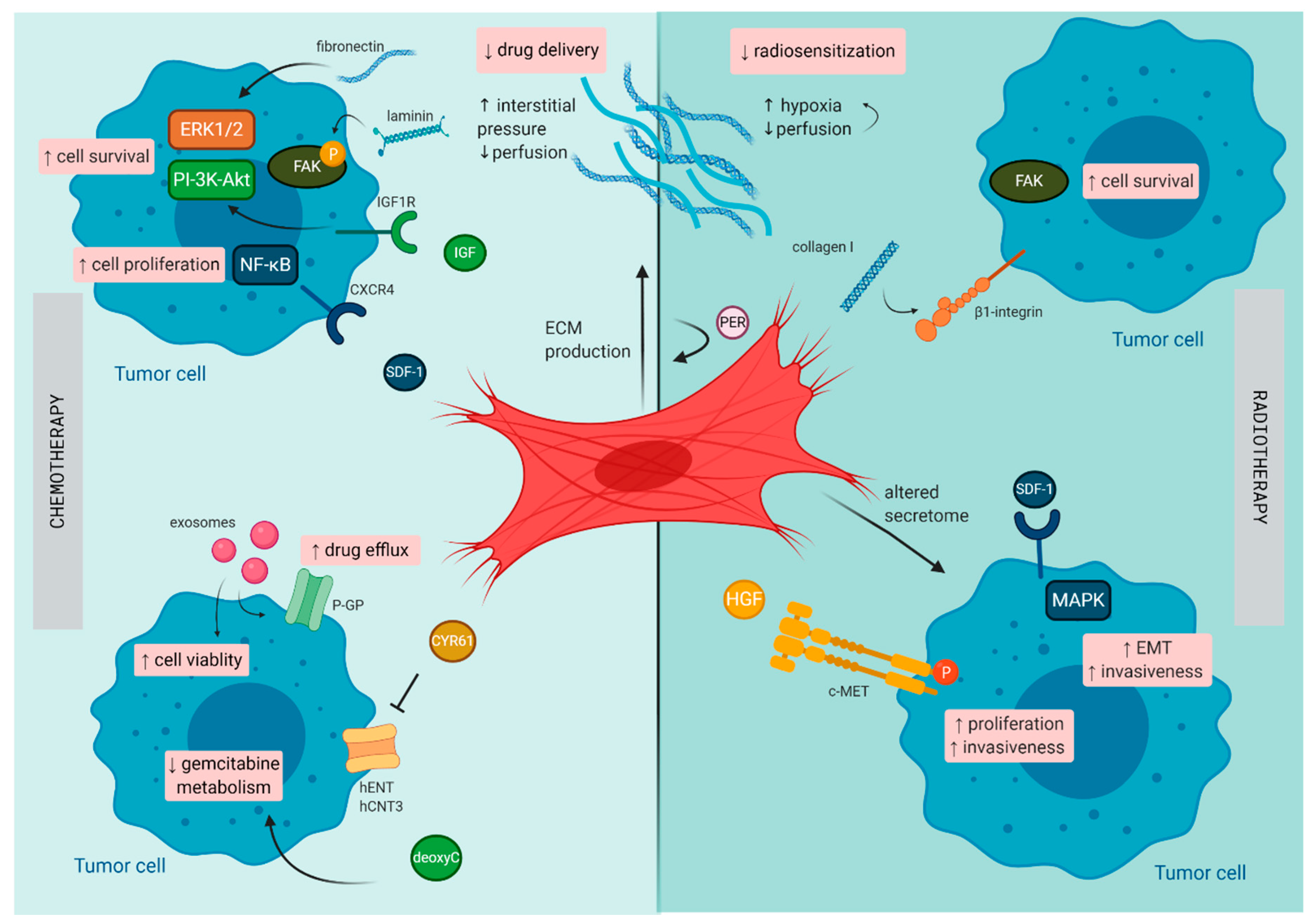 Cancers 13 00987 g002