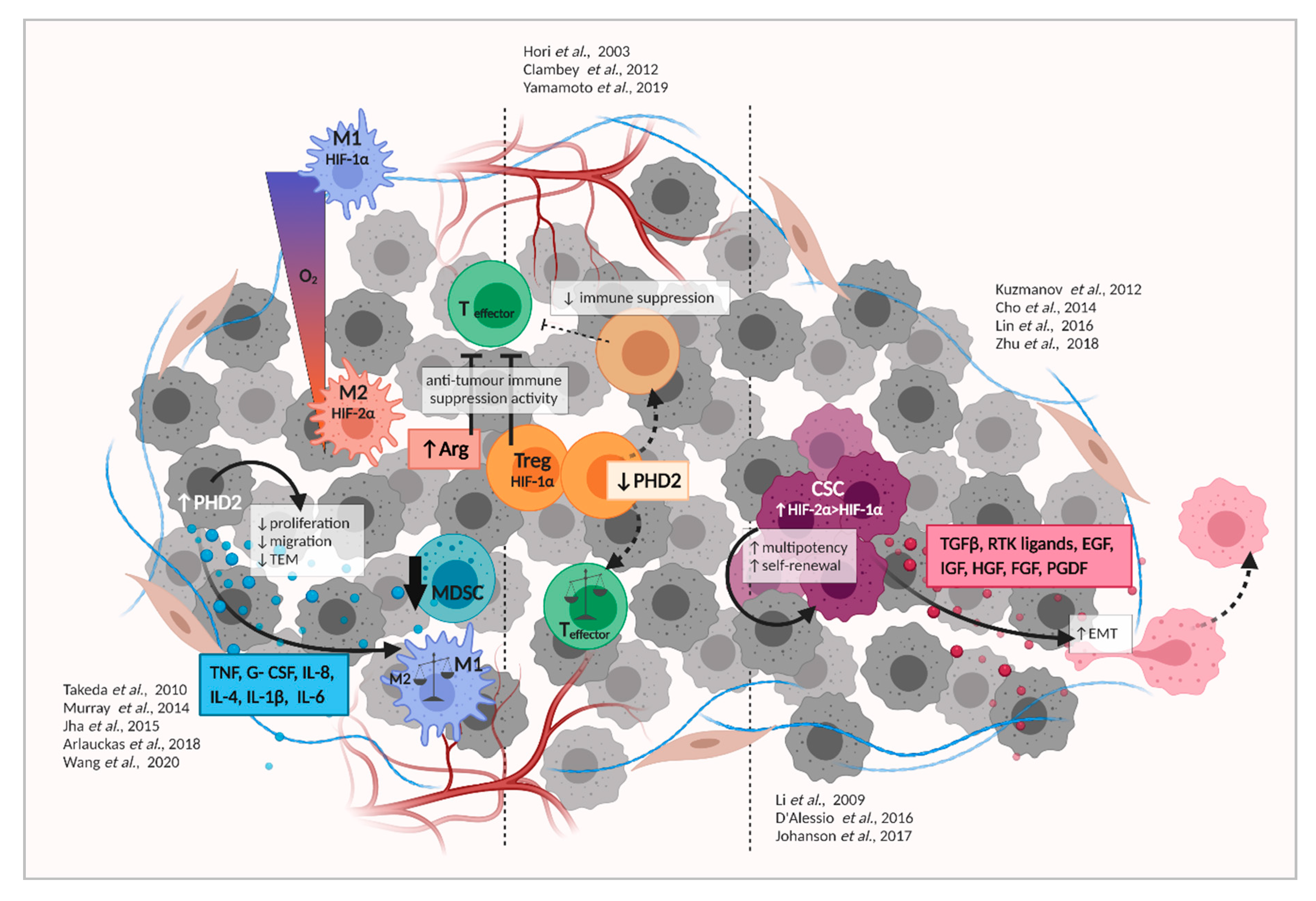 Cancers 13 00988 g002