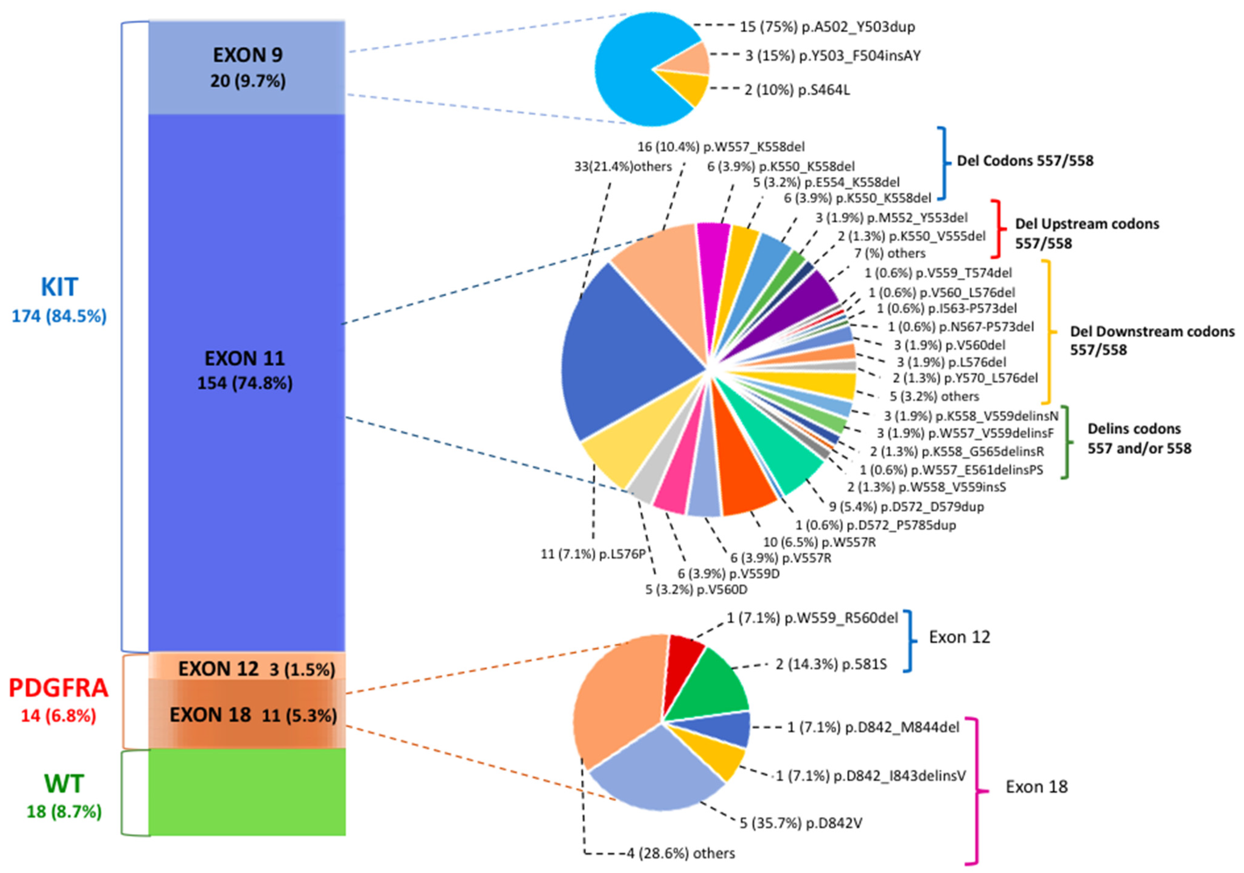 Cancers 13 00993 g001