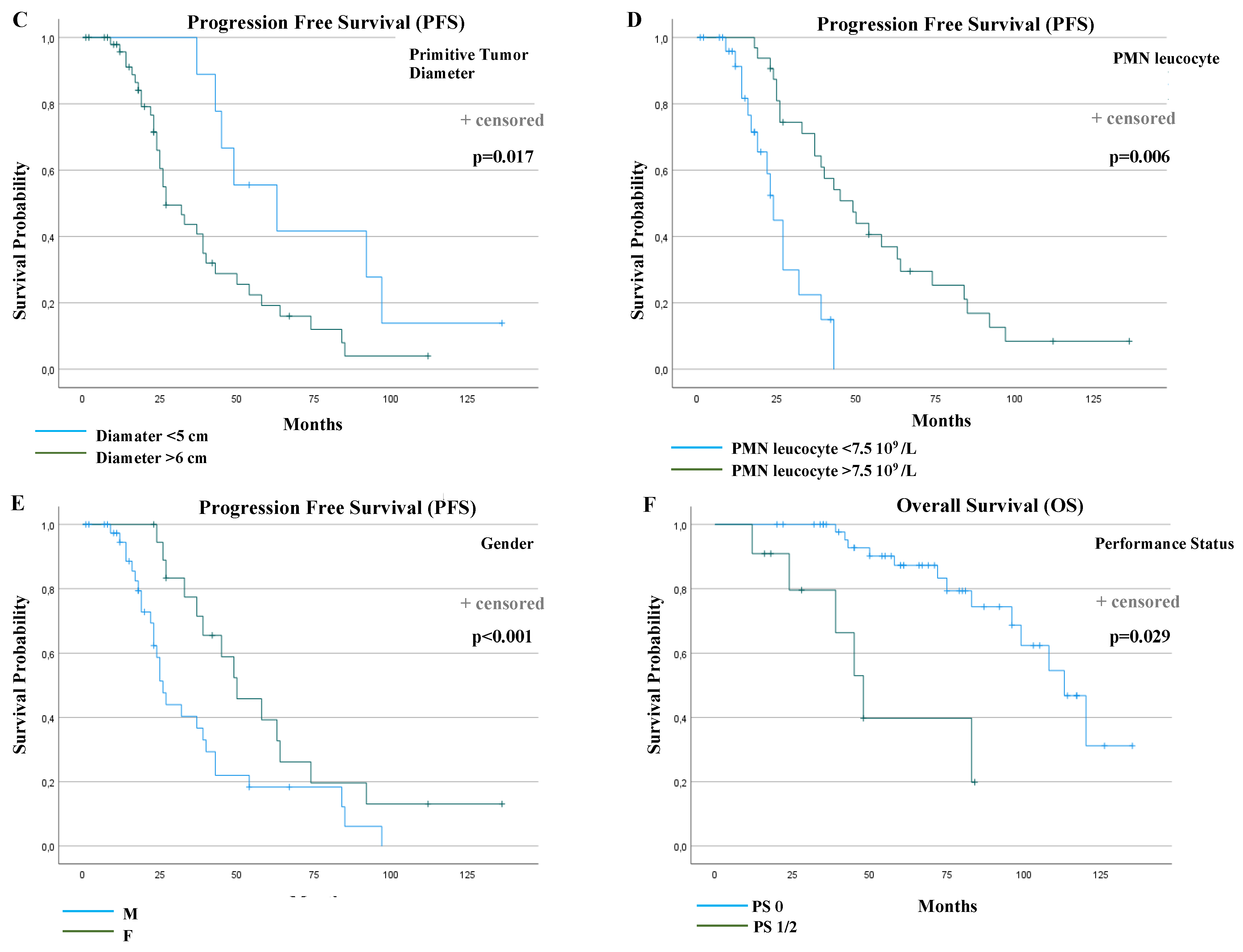 Cancers 13 00993 g003b
