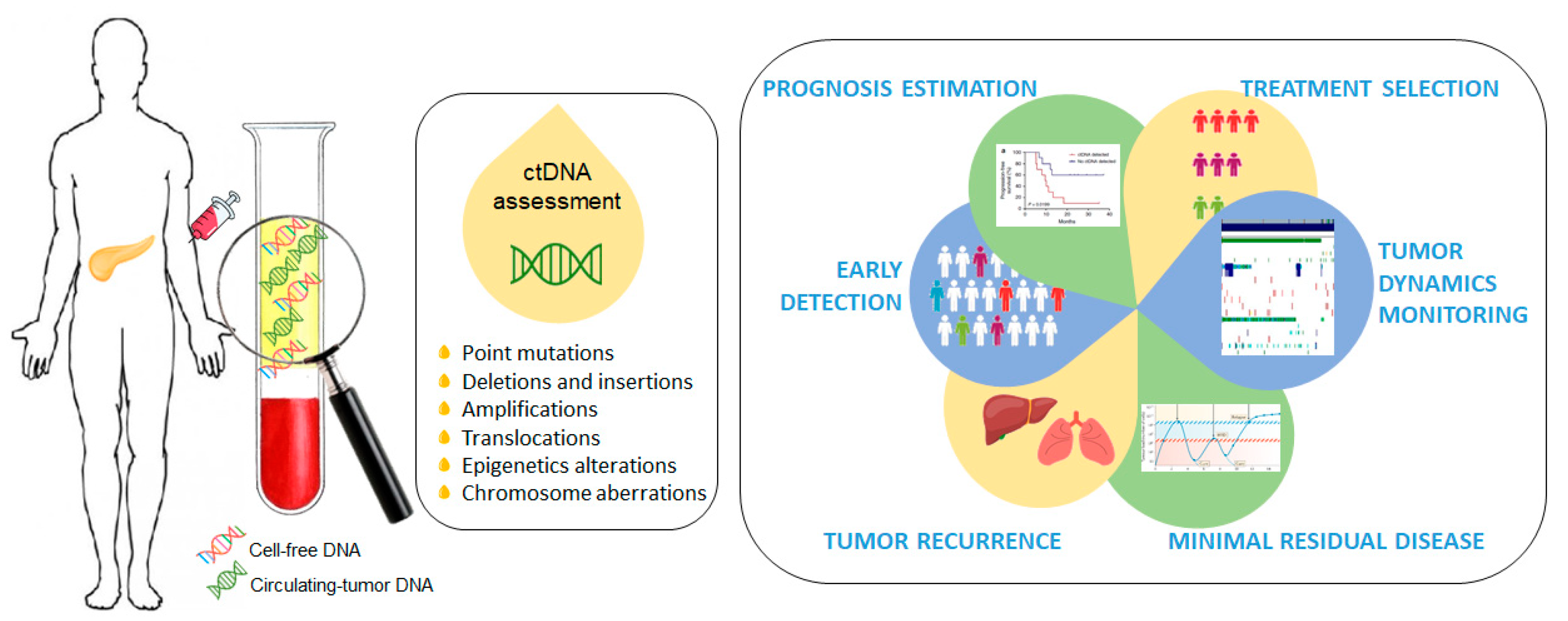 Cancers 13 00994 g001