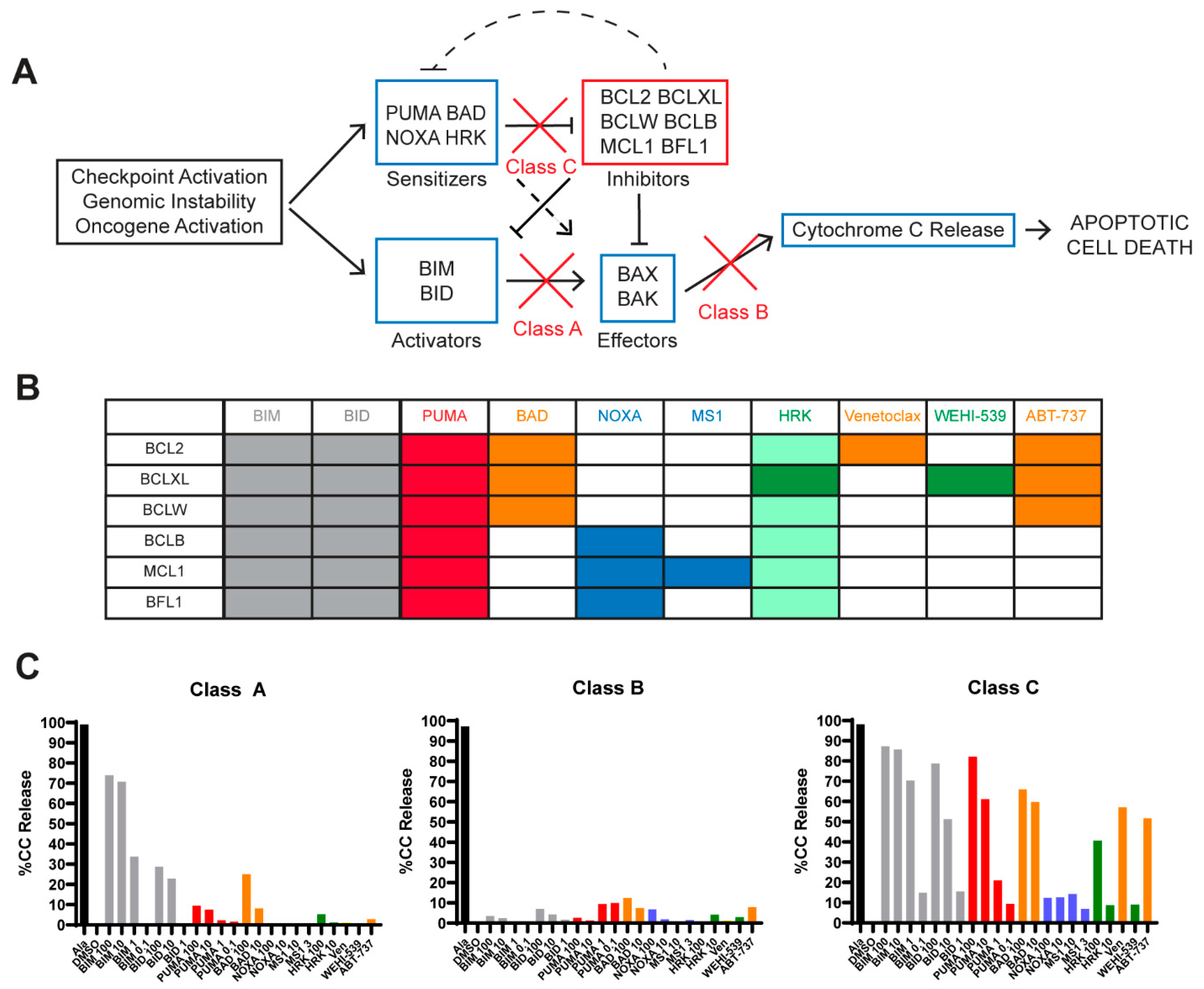 Cancers 13 01002 g001