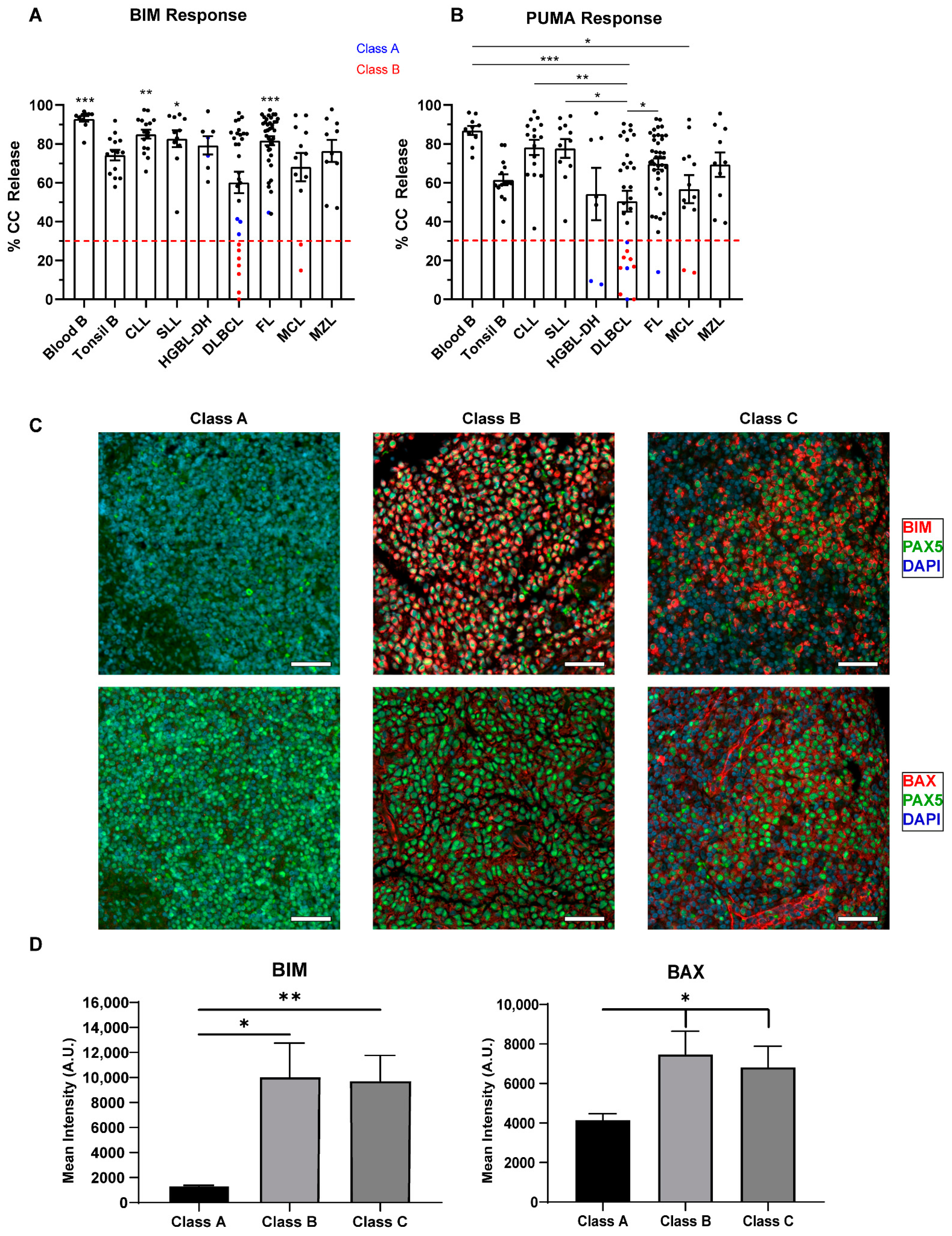 Cancers 13 01002 g003