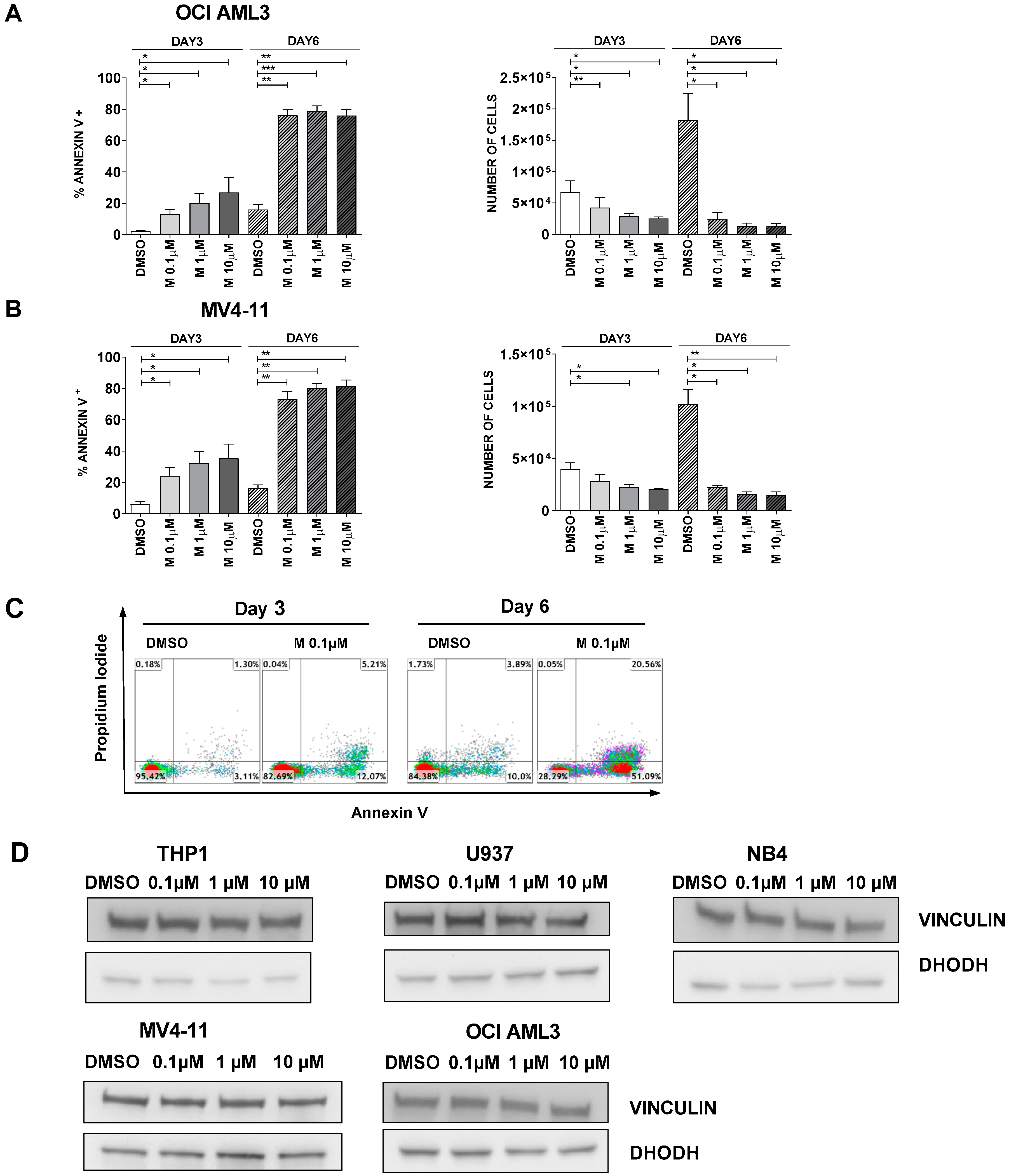 Cancers 13 01003 g003