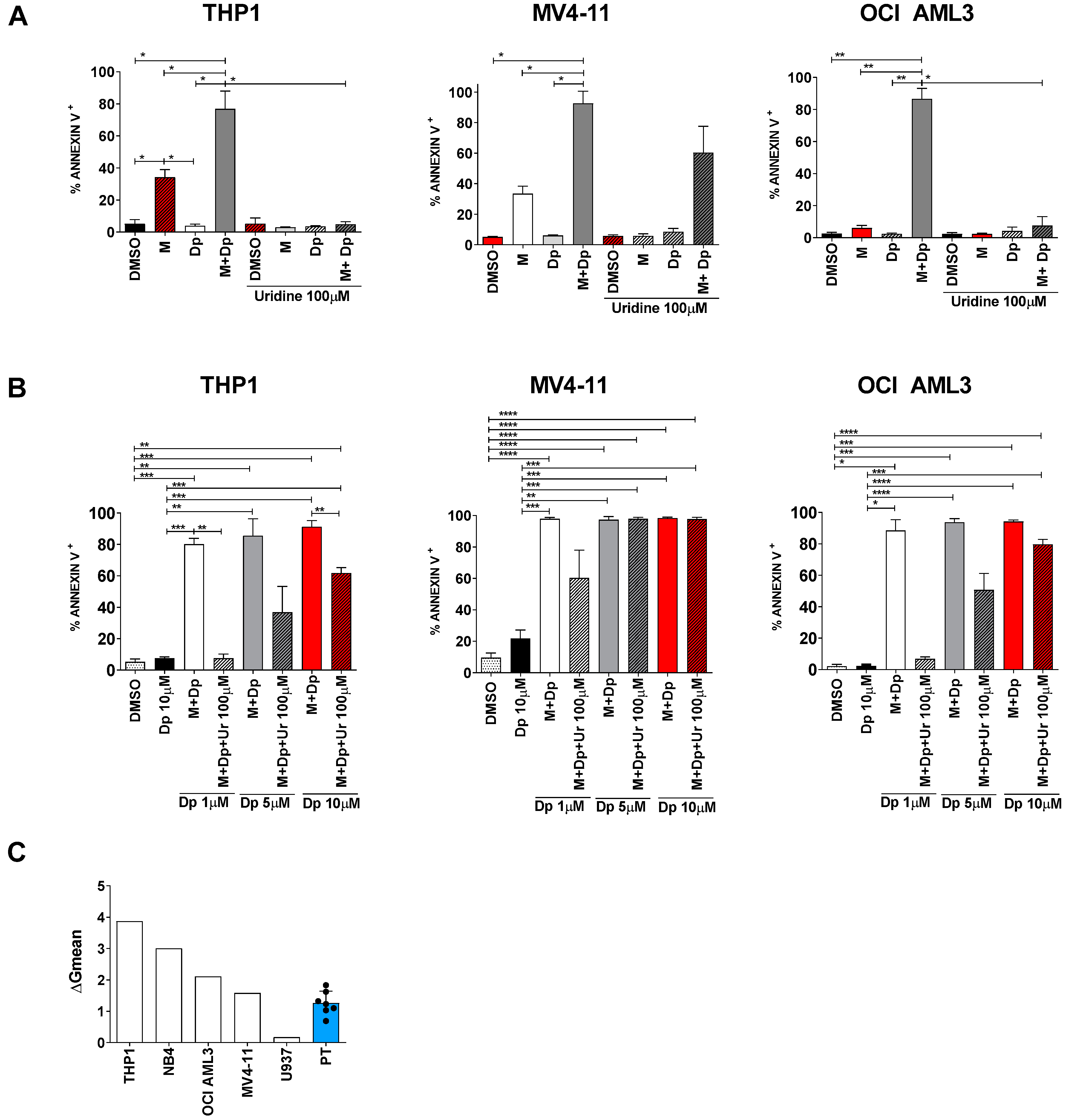 Cancers 13 01003 g008