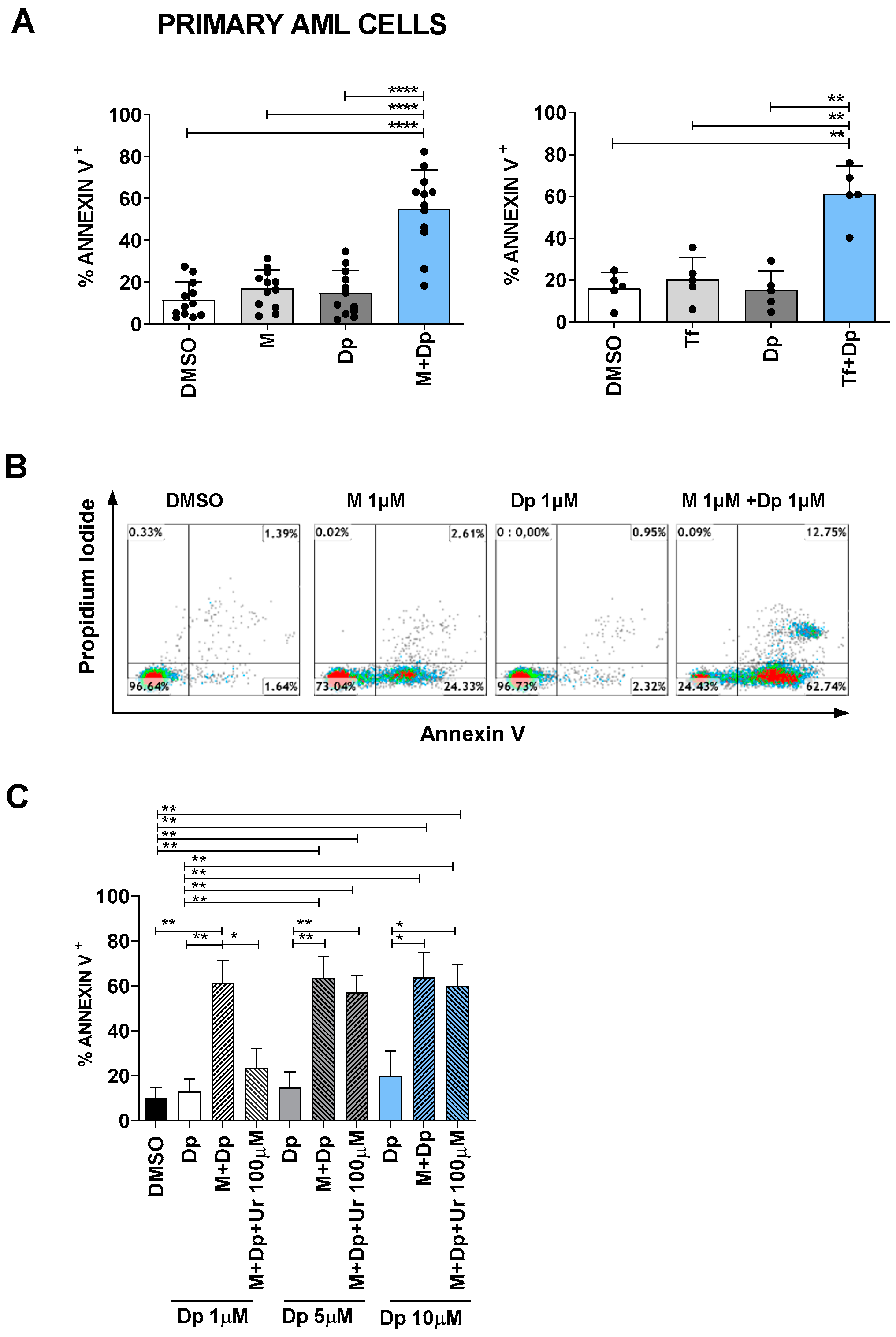 Cancers 13 01003 g009
