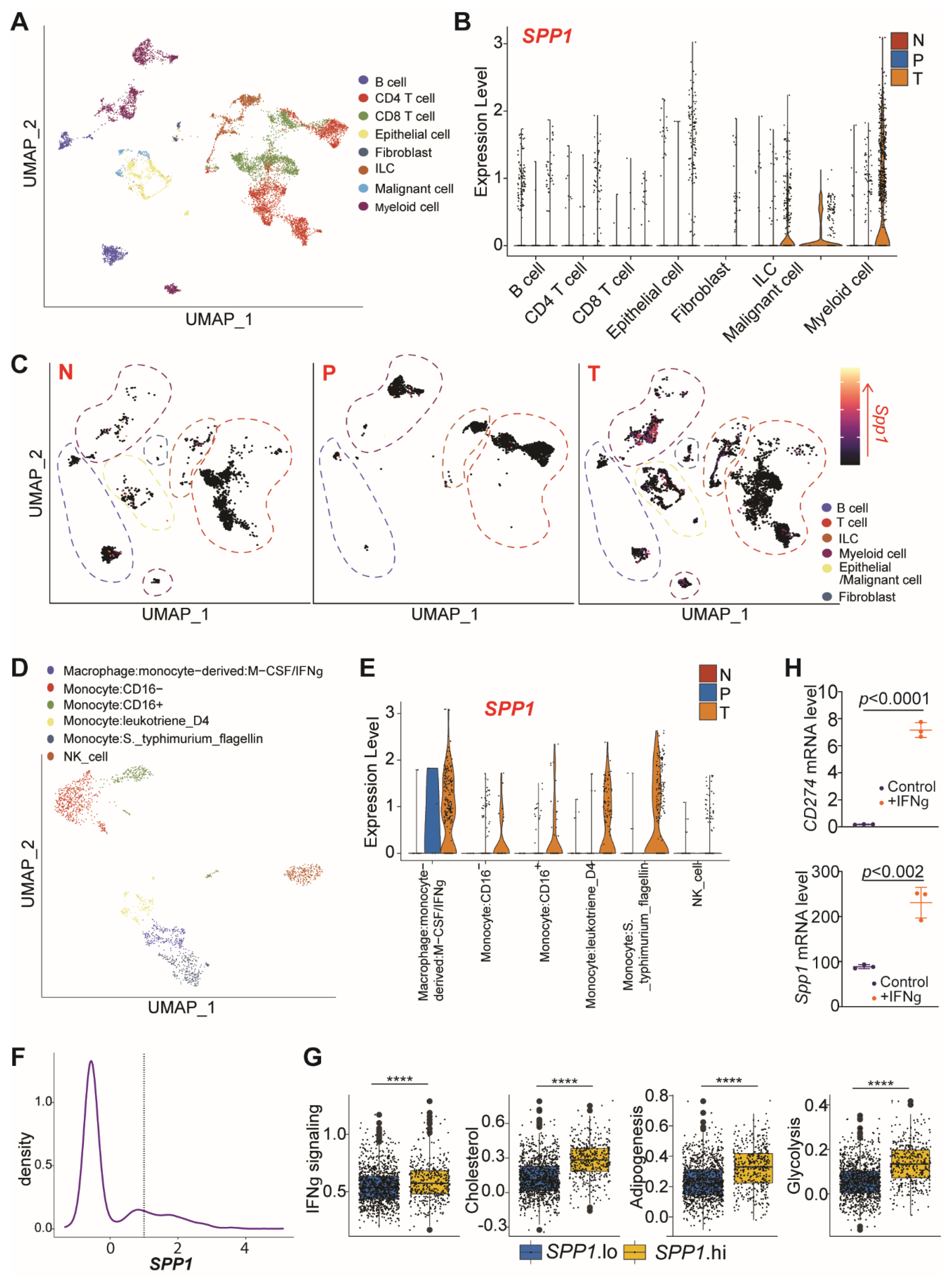 Cancers 13 01006 g002