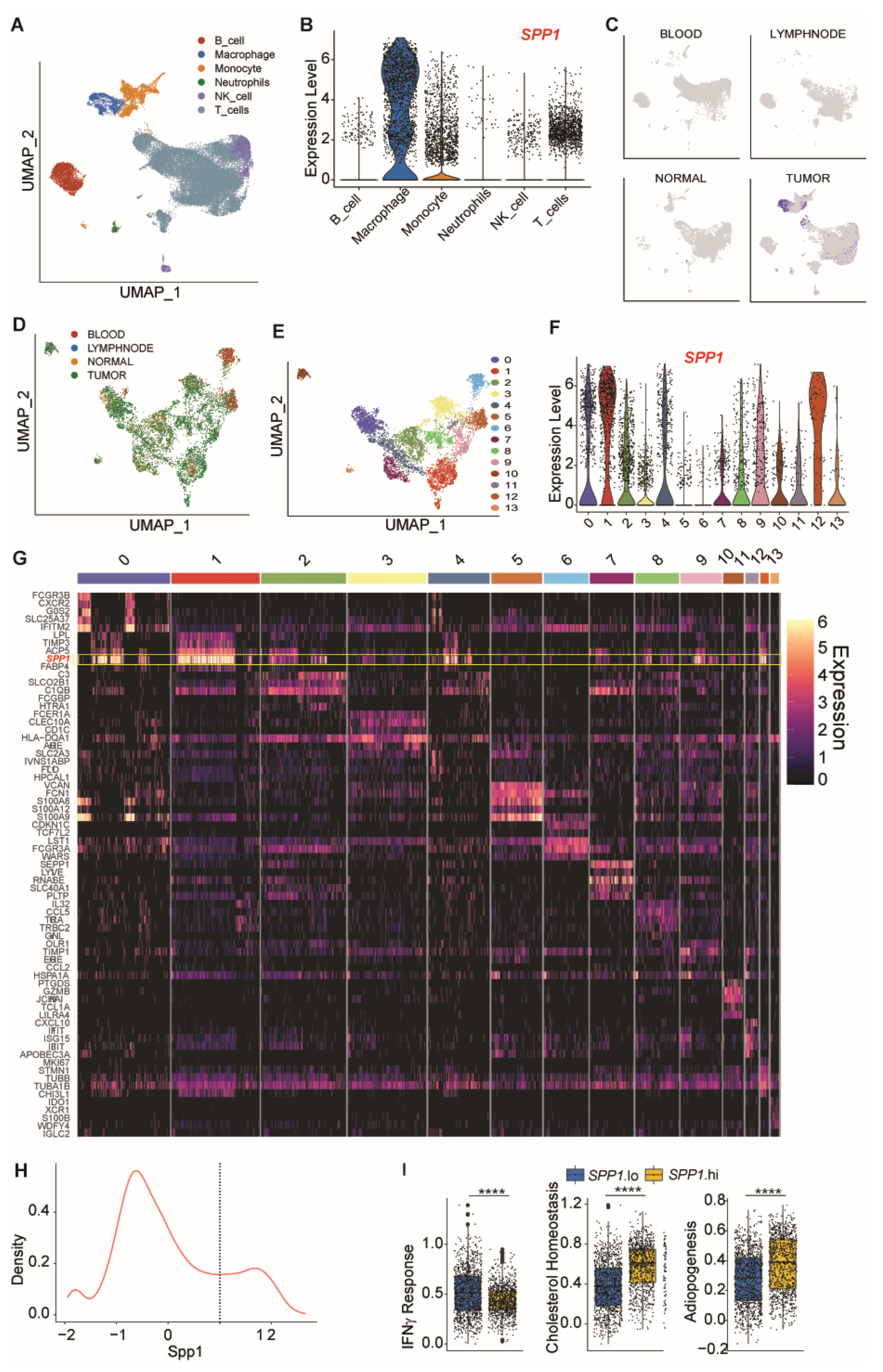 Cancers 13 01006 g003