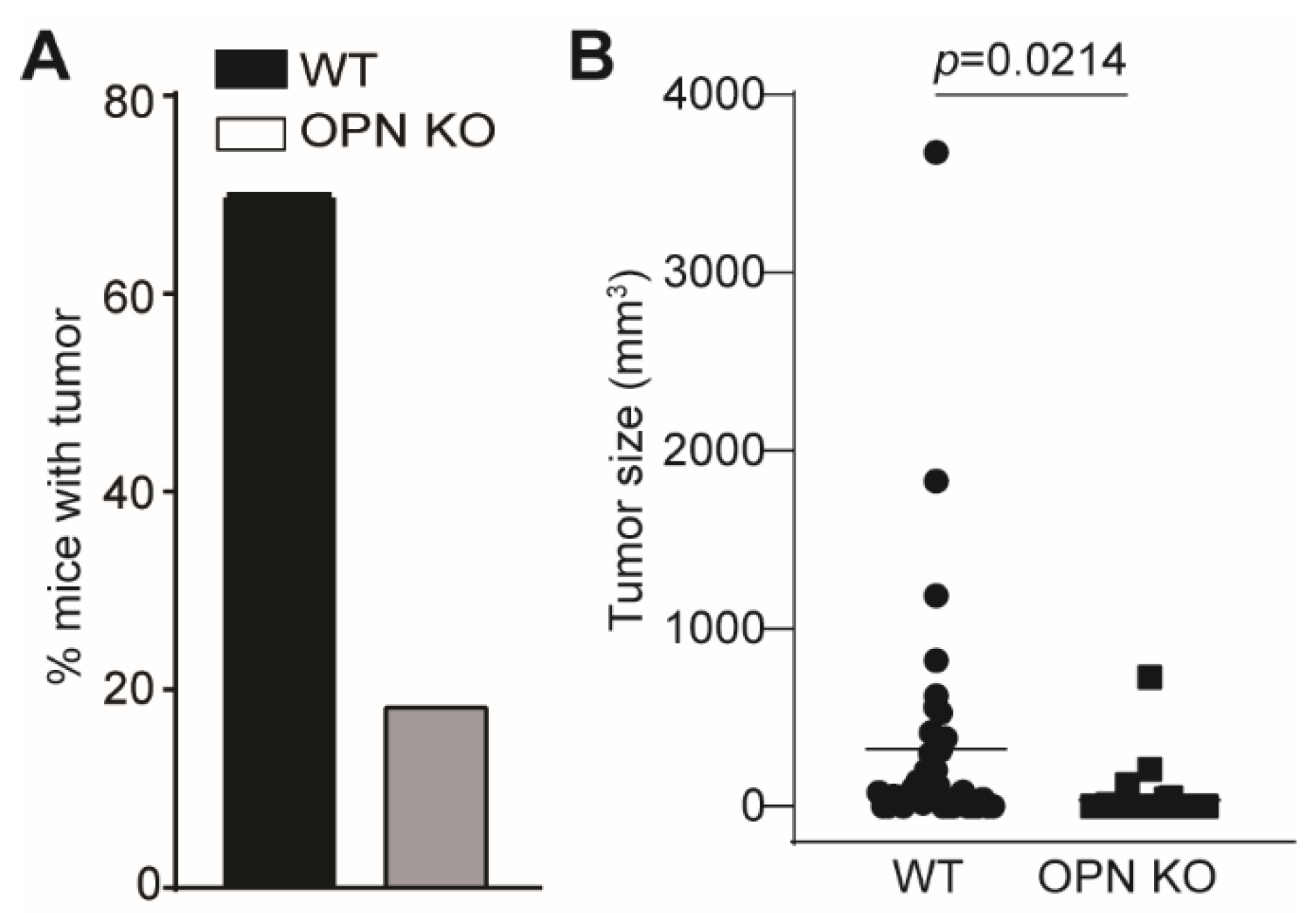 Cancers 13 01006 g004