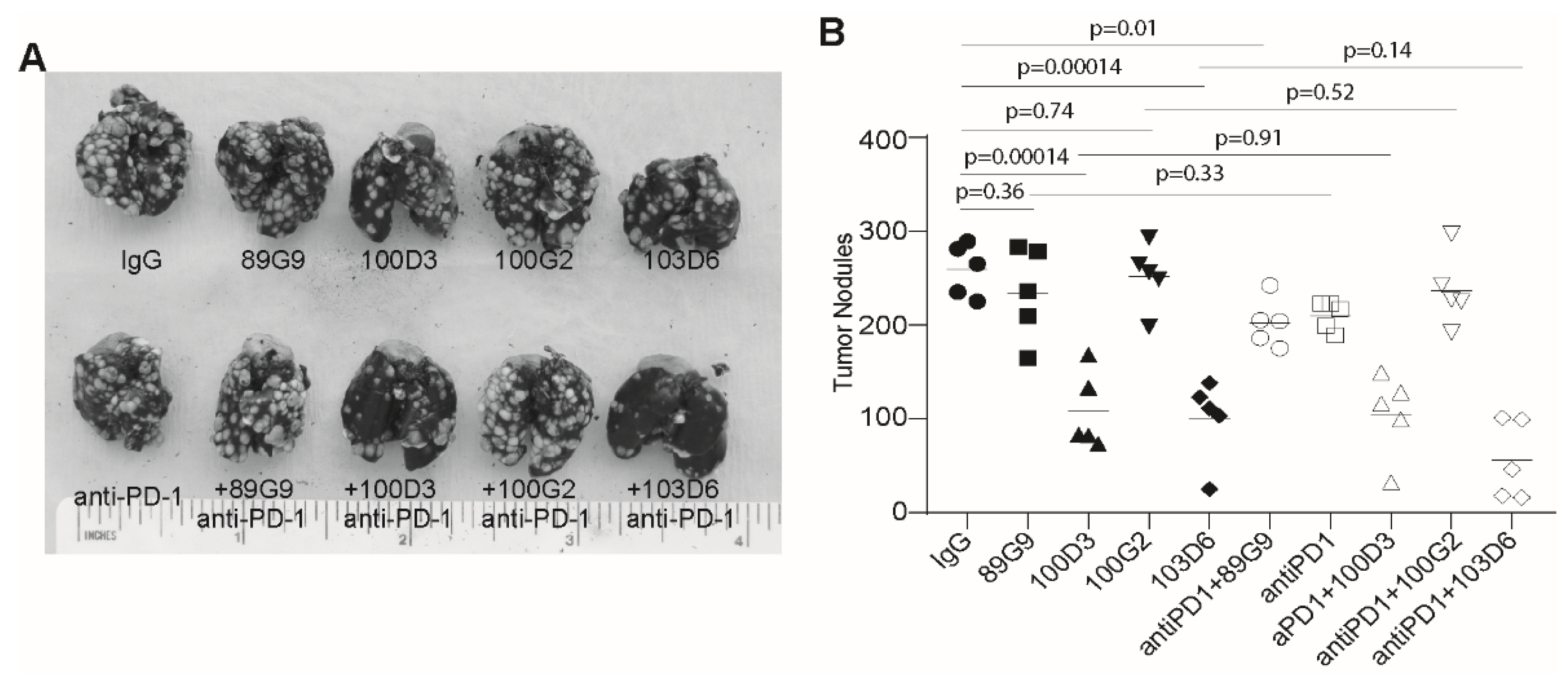 Cancers 13 01006 g007