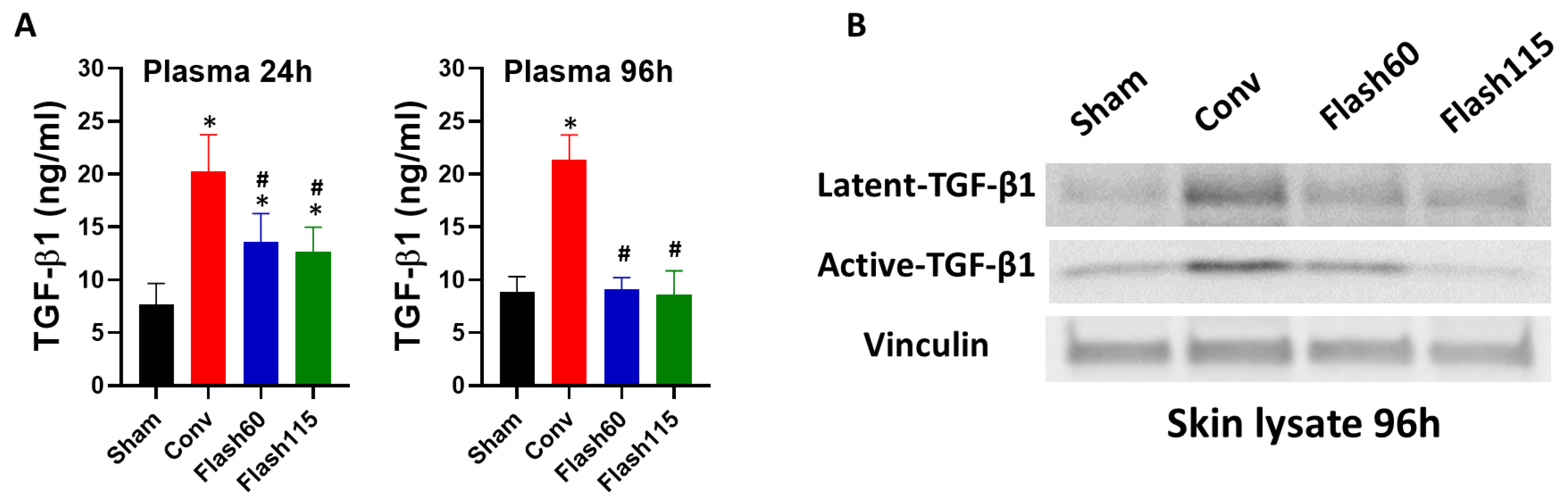 Cancers 13 01012 g002