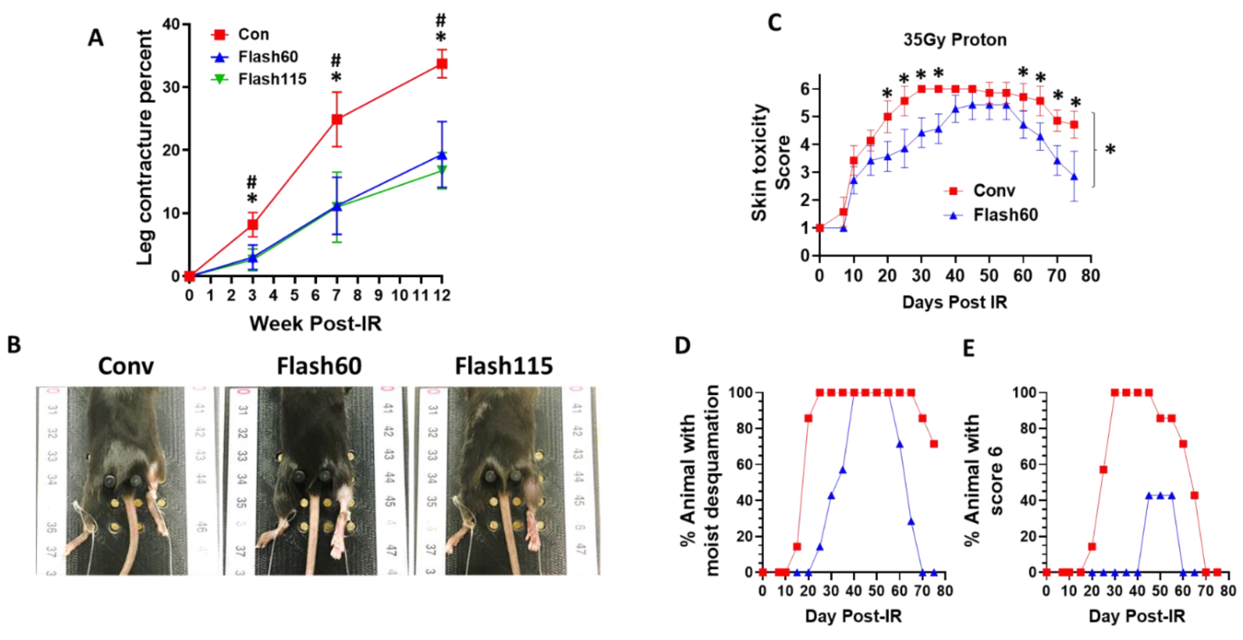 Cancers 13 01012 g003
