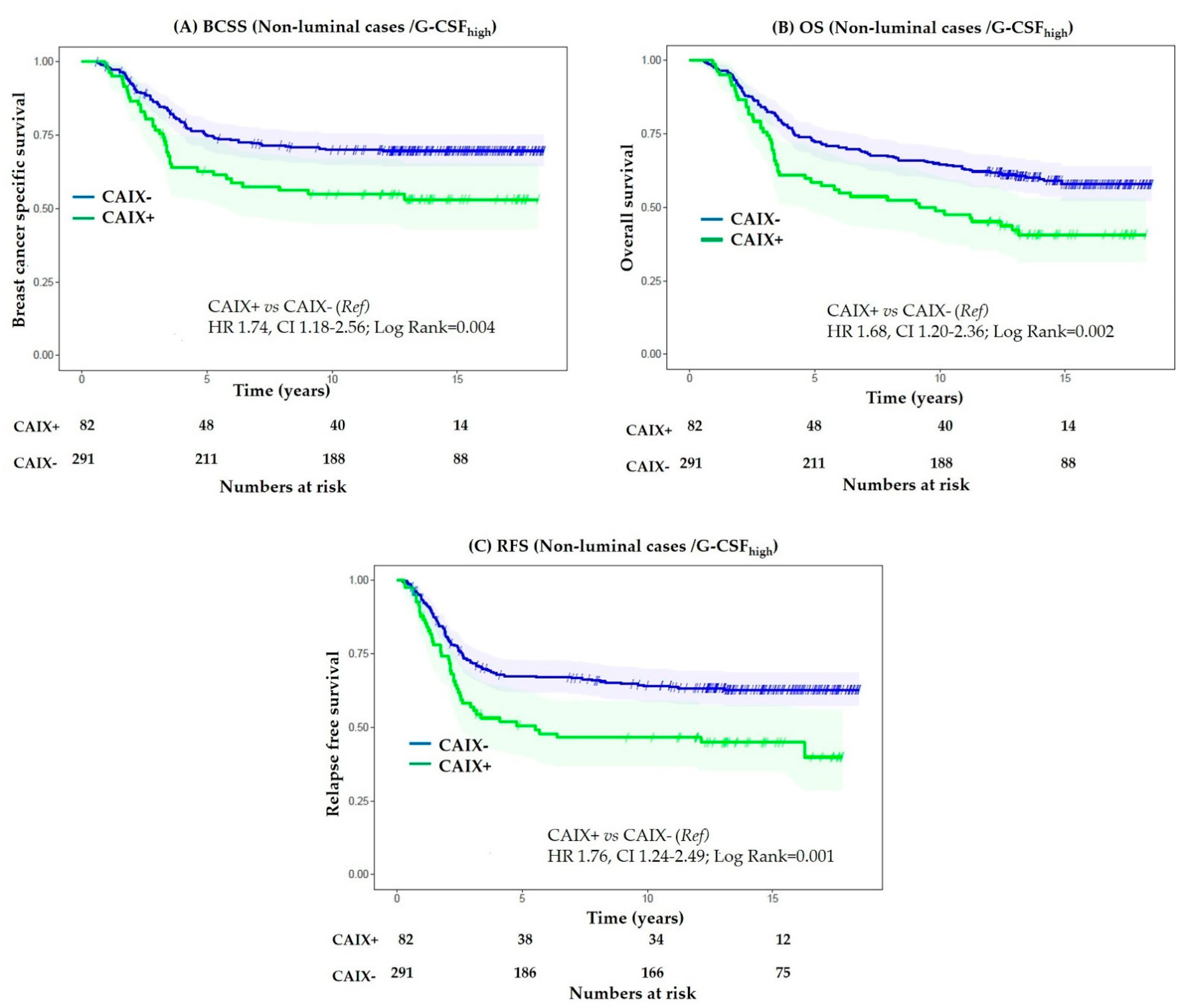 Cancers 13 01022 g004