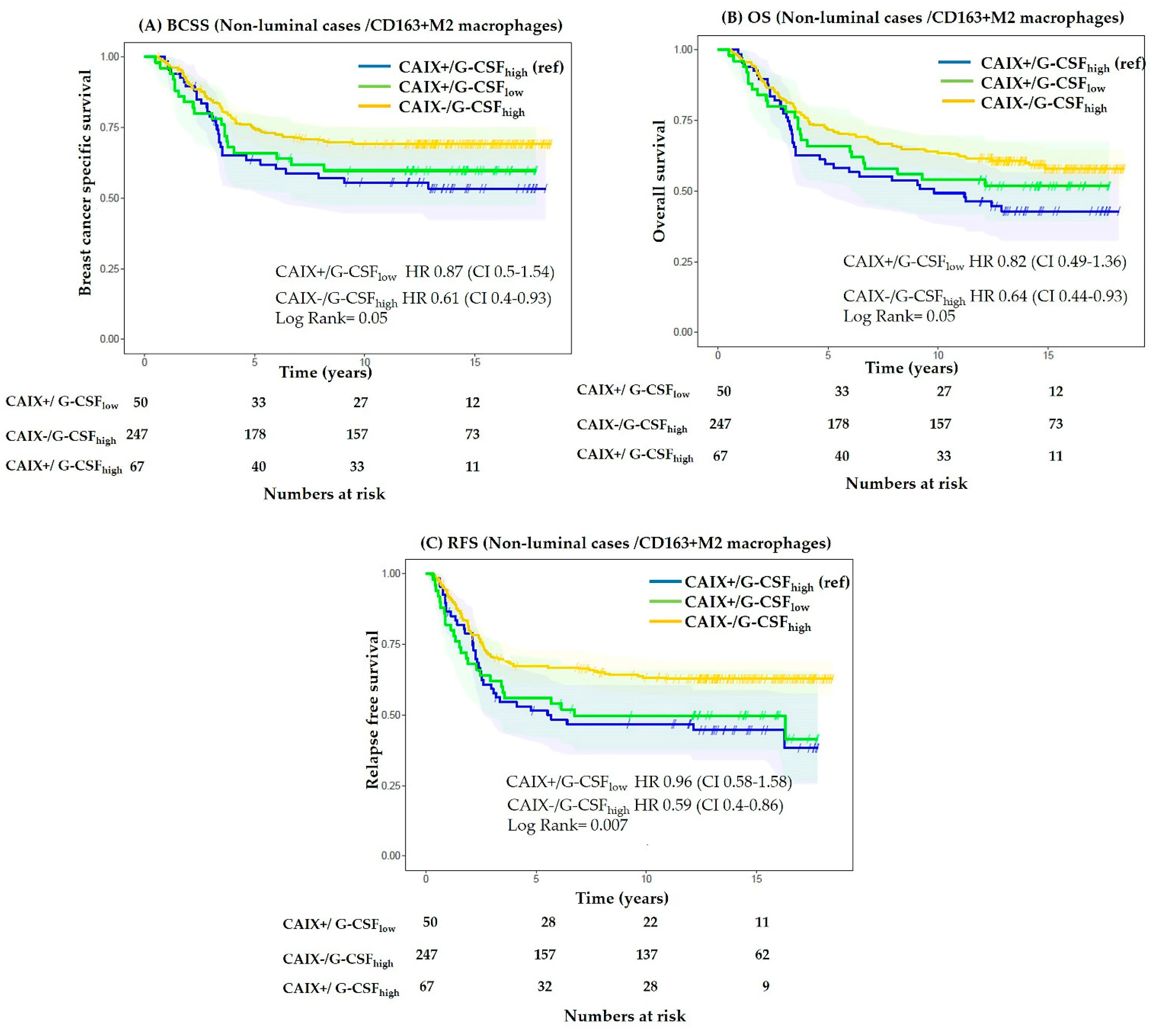 Cancers 13 01022 g005