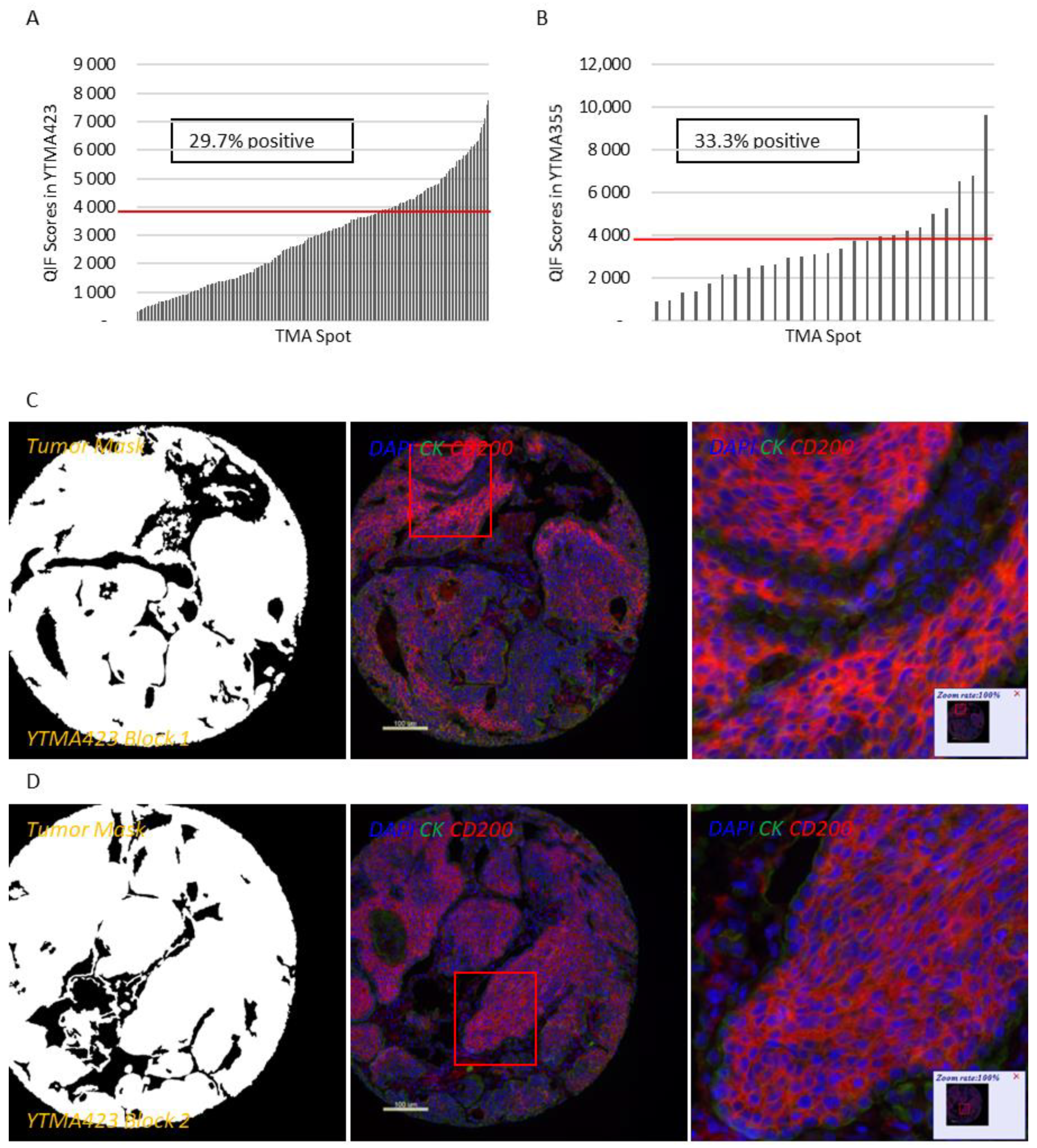 Cancers 13 01024 g001a