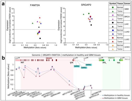 Cancers 13 01025 g008