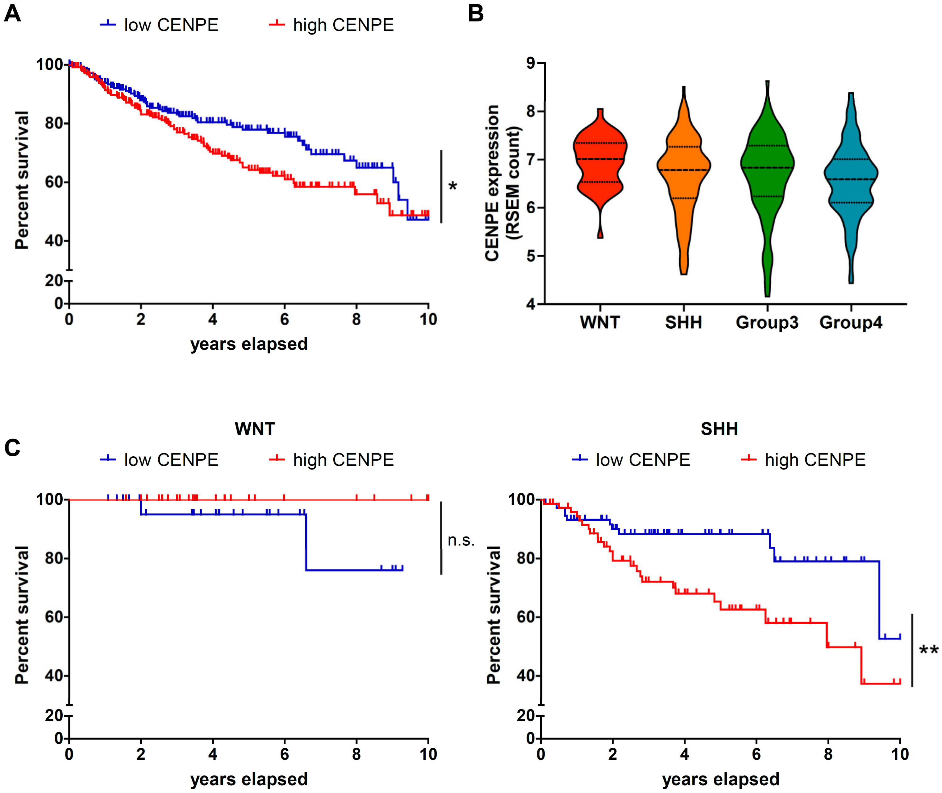 Cancers 13 01028 g001a