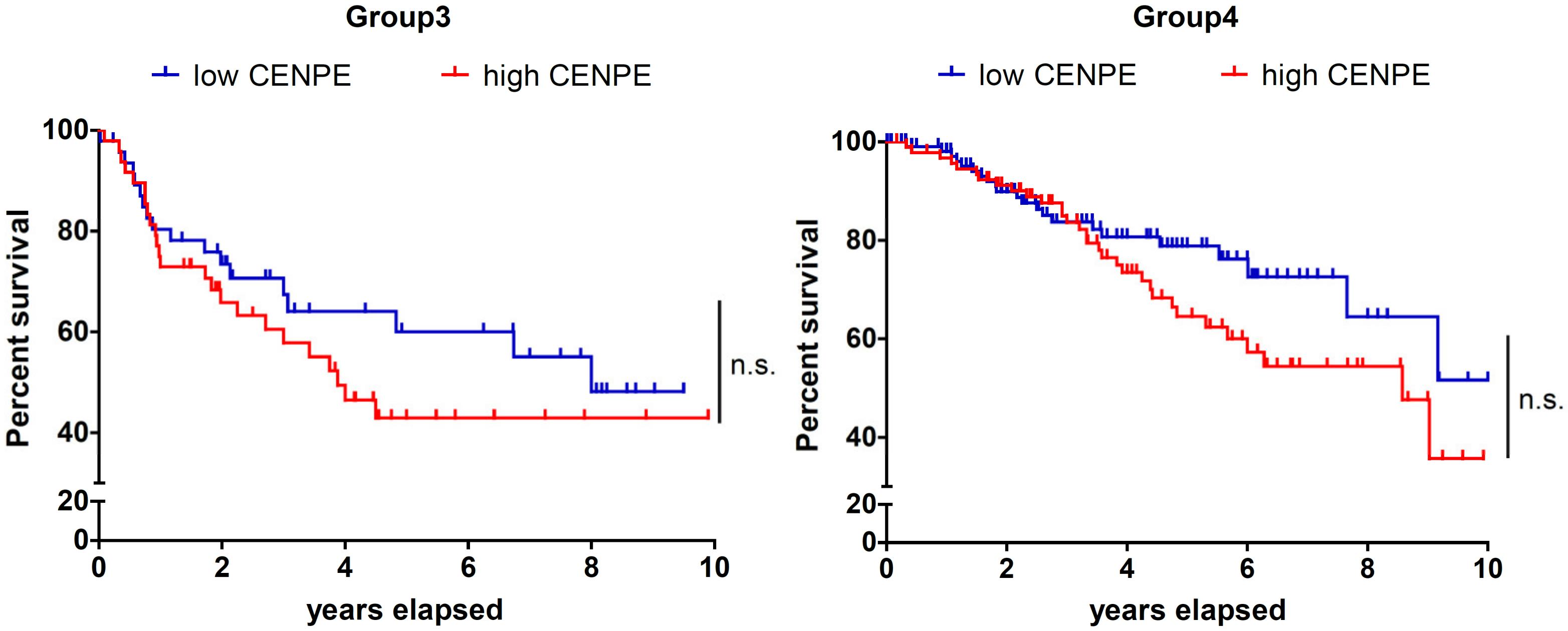 Cancers 13 01028 g001b
