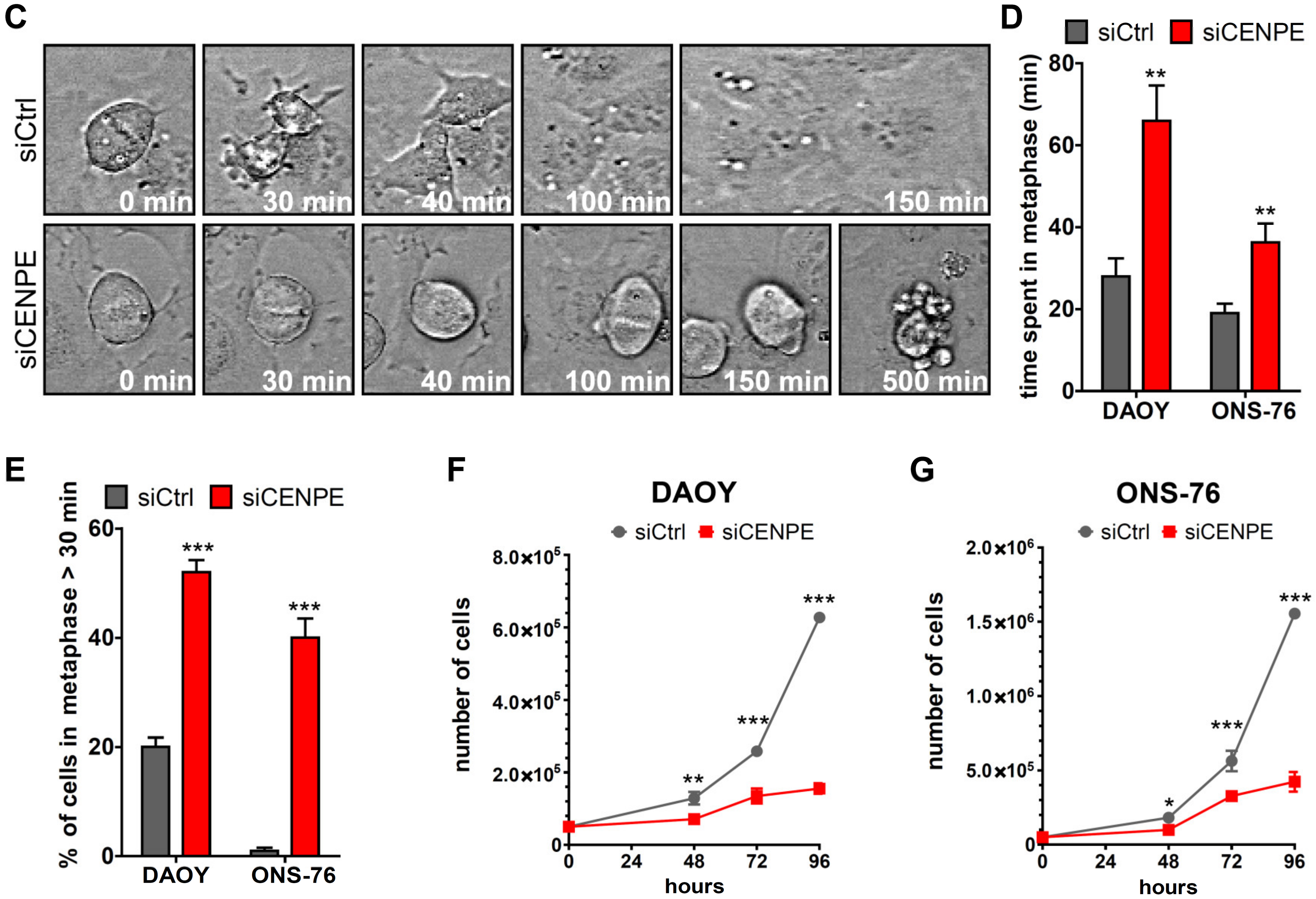 Cancers 13 01028 g002b